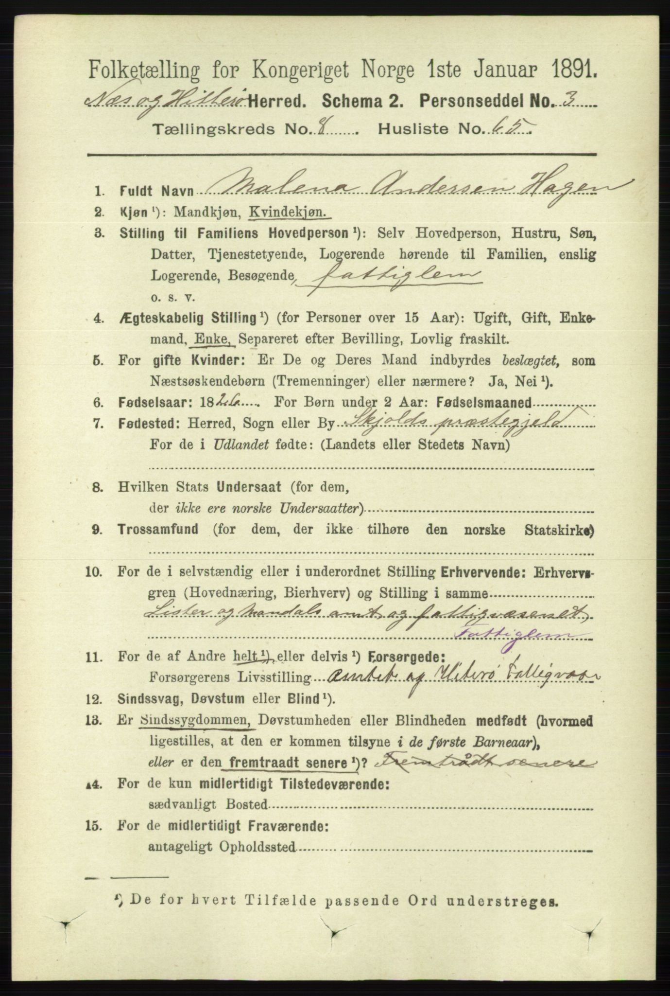 RA, 1891 census for 1043 Hidra og Nes, 1891, p. 3668