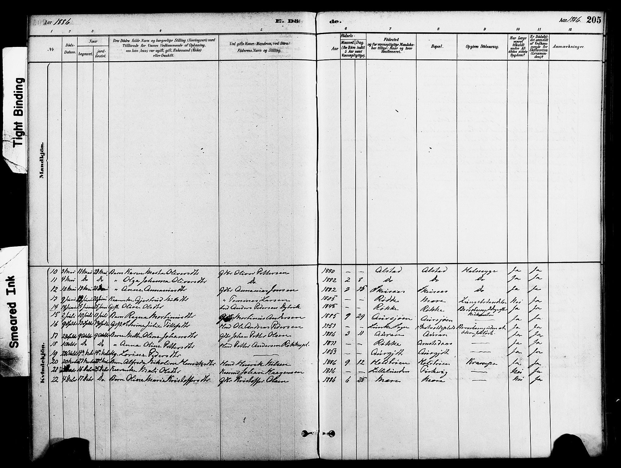 Ministerialprotokoller, klokkerbøker og fødselsregistre - Nord-Trøndelag, AV/SAT-A-1458/712/L0100: Parish register (official) no. 712A01, 1880-1900, p. 205