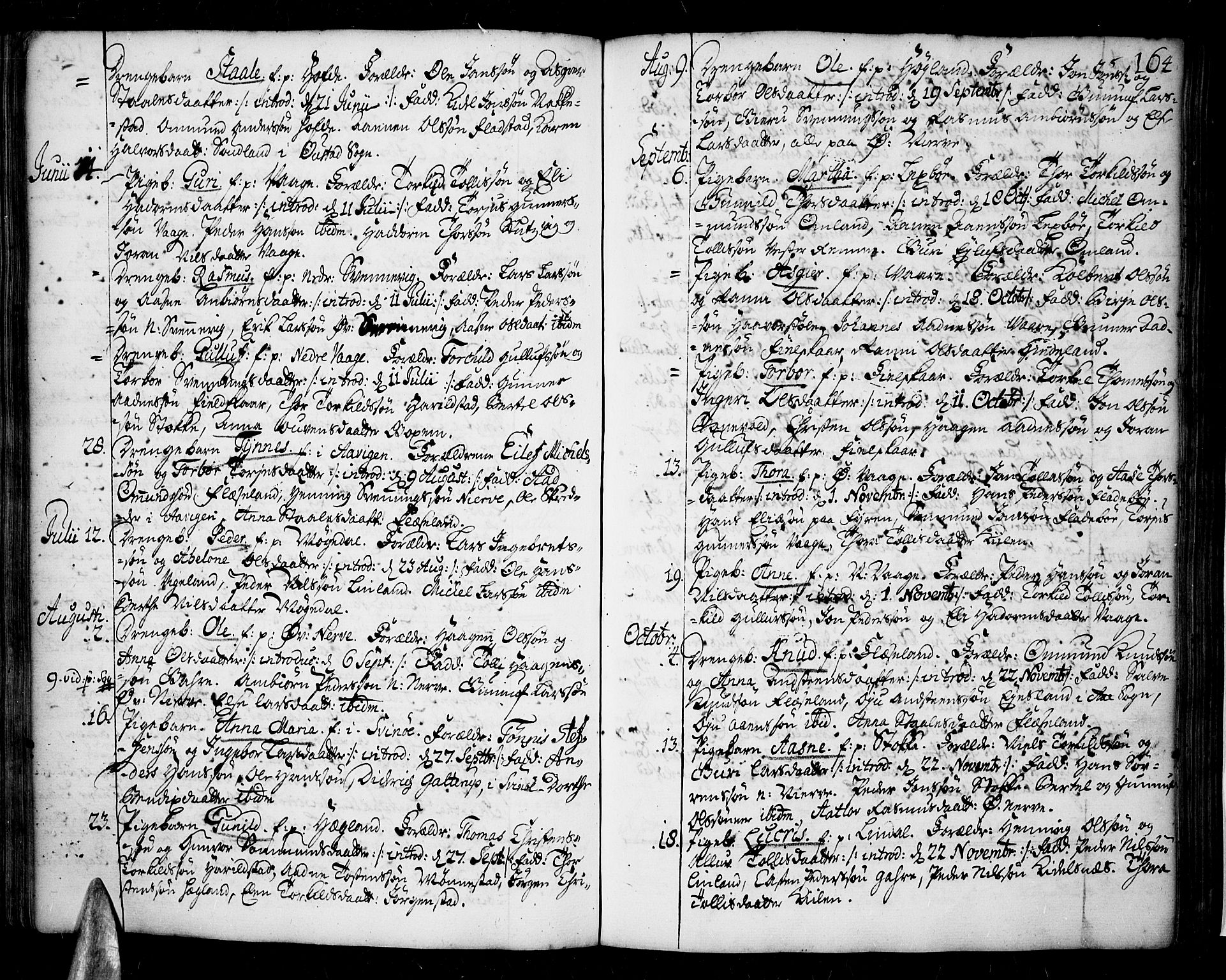 Sør-Audnedal sokneprestkontor, SAK/1111-0039/F/Fa/Fab/L0001: Parish register (official) no. A 1 /2, 1726-1769, p. 164