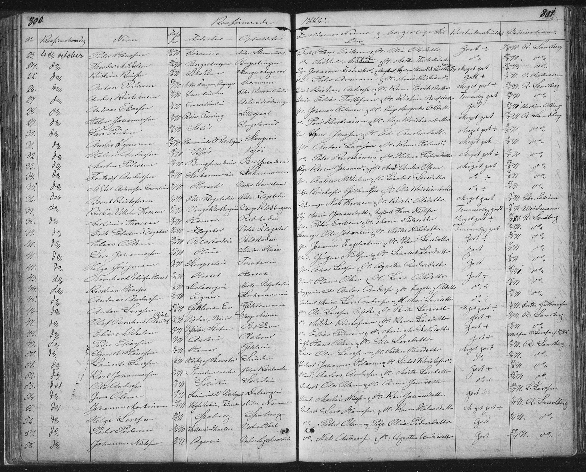 Vang prestekontor, Hedmark, AV/SAH-PREST-008/H/Ha/Hab/L0010B: Parish register (copy) no. 10b, 1854-1896, p. 800-801