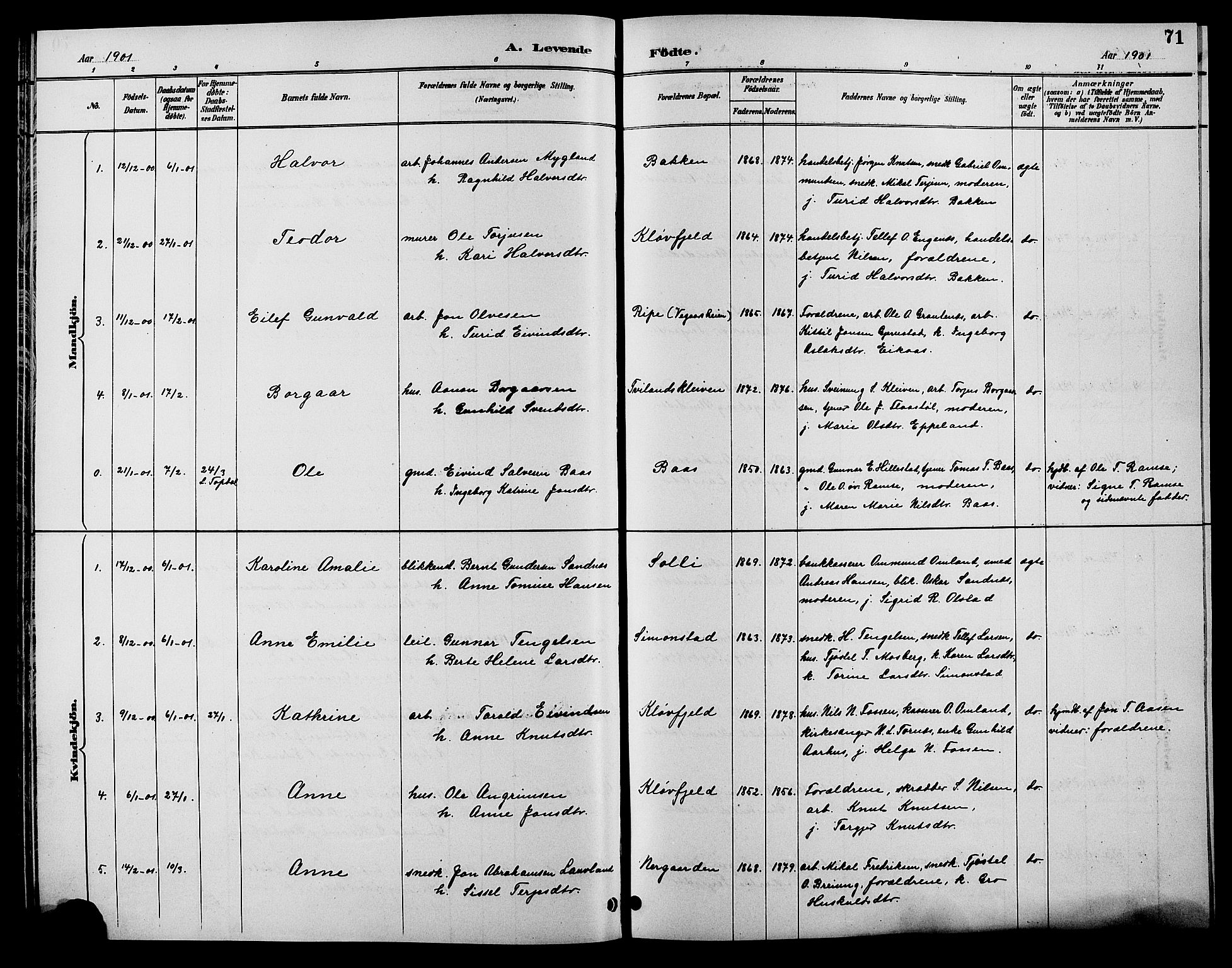 Åmli sokneprestkontor, AV/SAK-1111-0050/F/Fb/Fbc/L0004: Parish register (copy) no. B 4, 1889-1902, p. 71