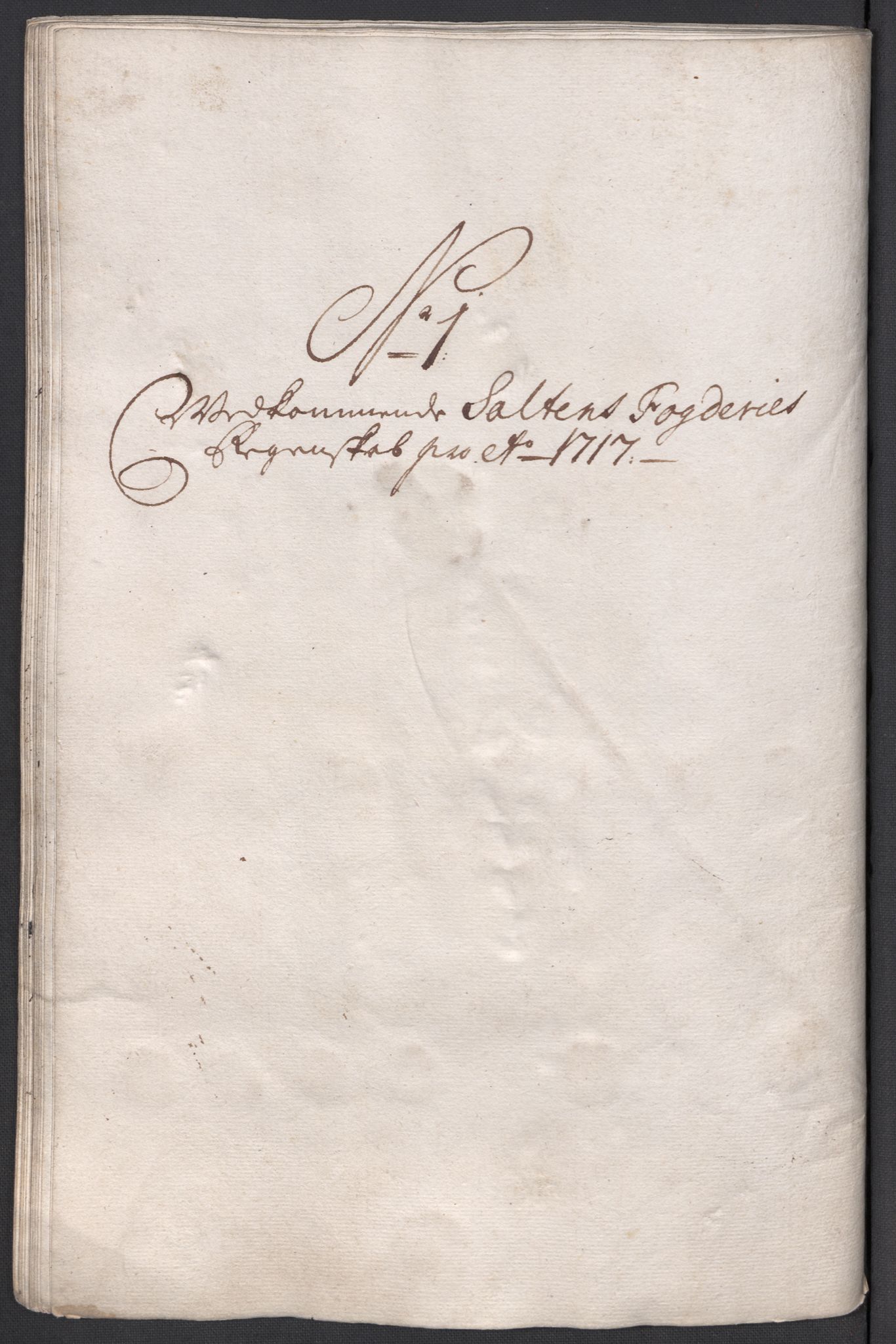 Rentekammeret inntil 1814, Reviderte regnskaper, Fogderegnskap, RA/EA-4092/R66/L4587: Fogderegnskap Salten, 1717, p. 66