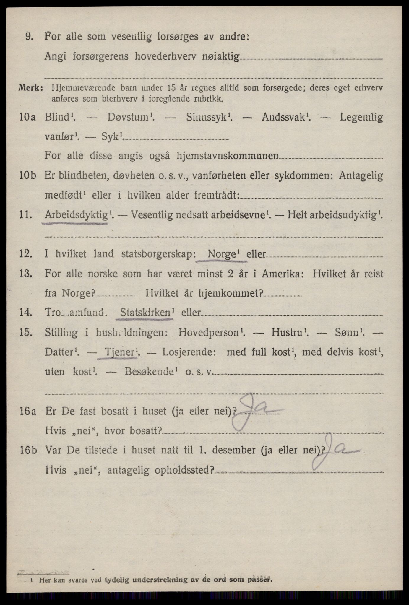 SAT, 1920 census for Hustad, 1920, p. 1510