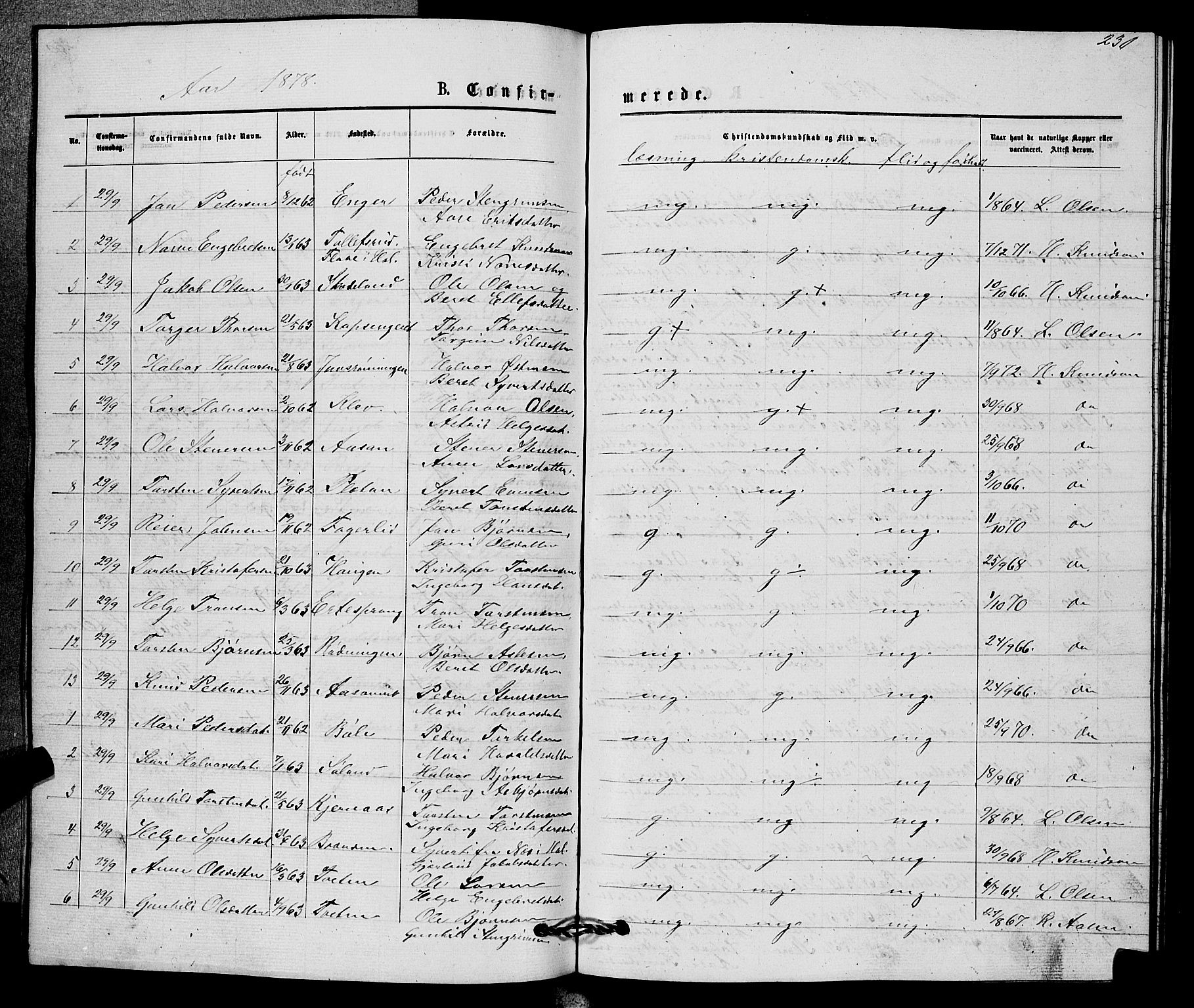 Sigdal kirkebøker, SAKO/A-245/G/Gb/L0002: Parish register (copy) no. II 2, 1875-1900, p. 231