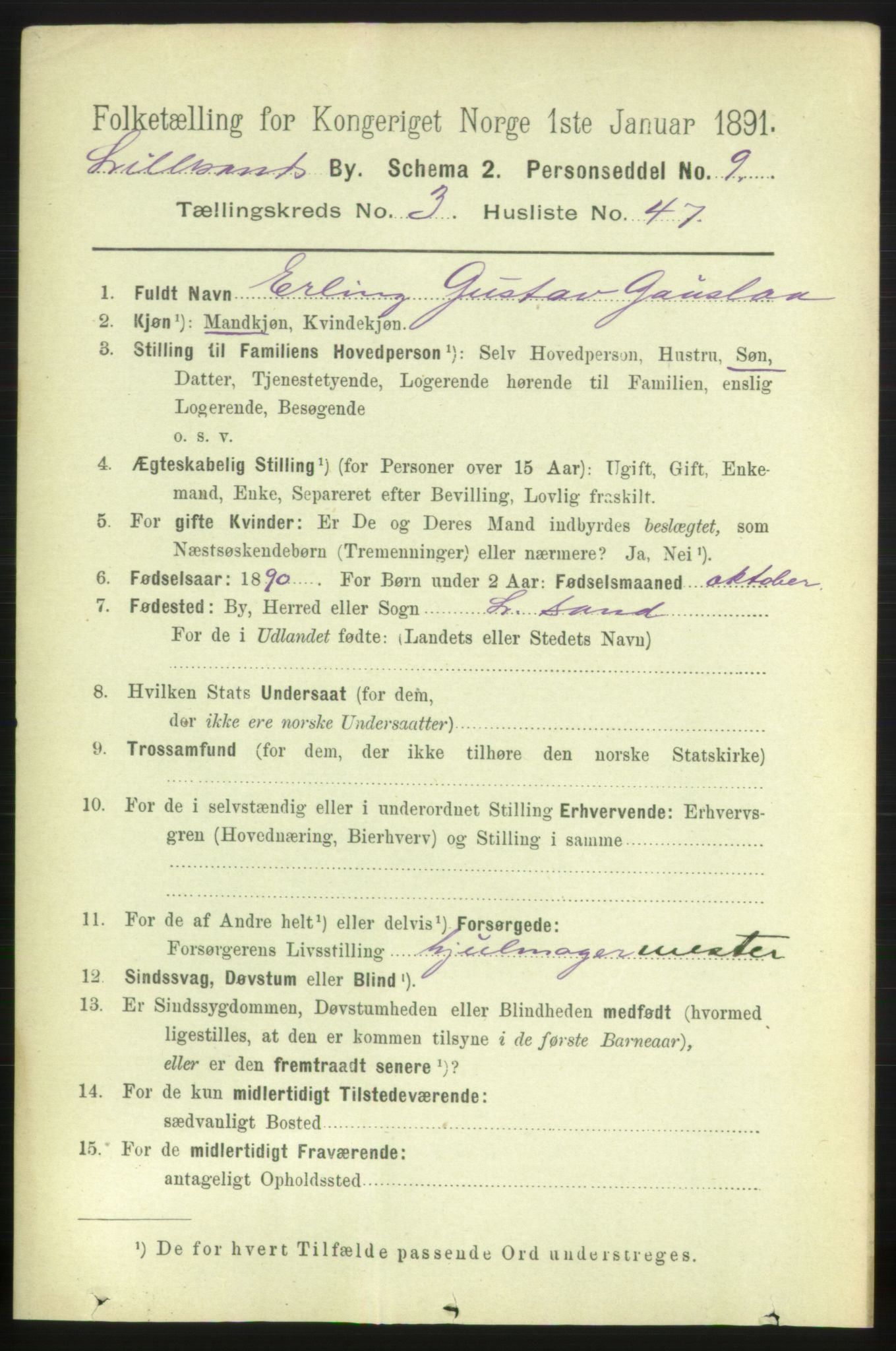 RA, 1891 census for 0905 Lillesand, 1891, p. 1060