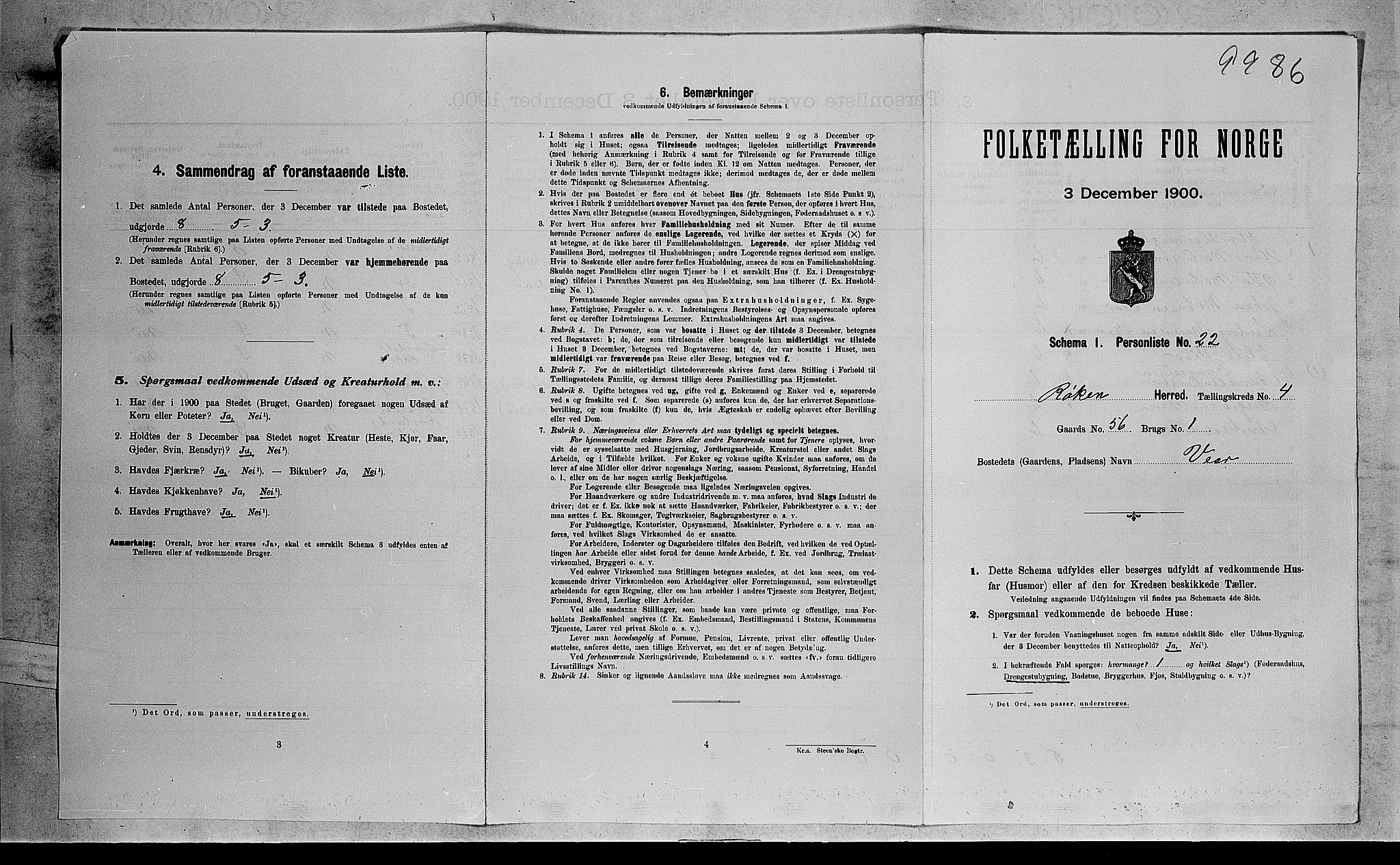 RA, 1900 census for Røyken, 1900, p. 556