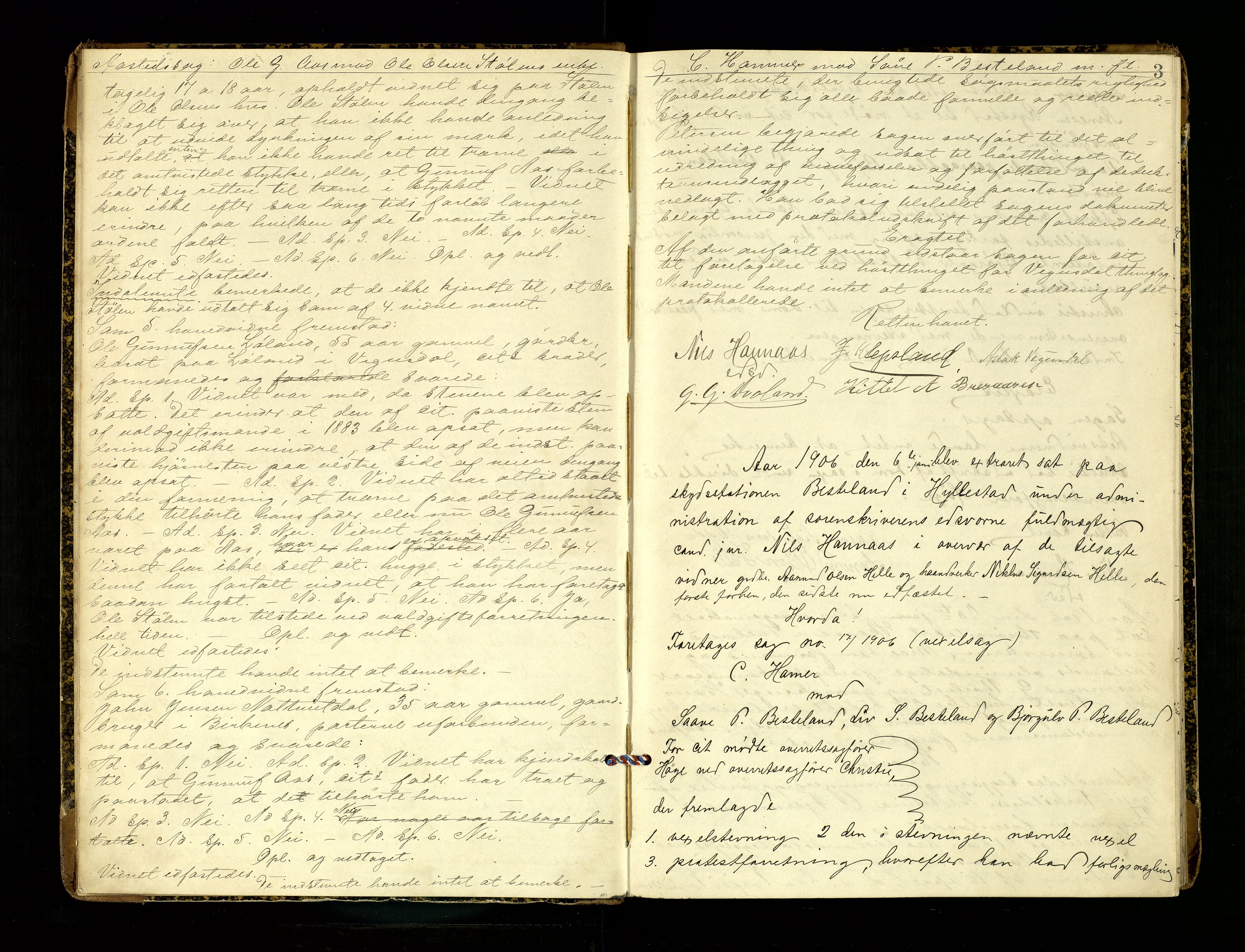 Setesdal sorenskriveri, AV/SAK-1221-0011/F/Fb/L0014: Ekstrarettsprotokoll nr 14, 1906-1913, p. 3