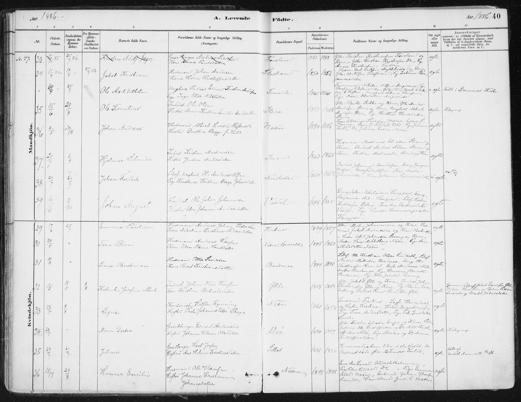 Ministerialprotokoller, klokkerbøker og fødselsregistre - Nordland, AV/SAT-A-1459/838/L0552: Parish register (official) no. 838A10, 1880-1910, p. 40