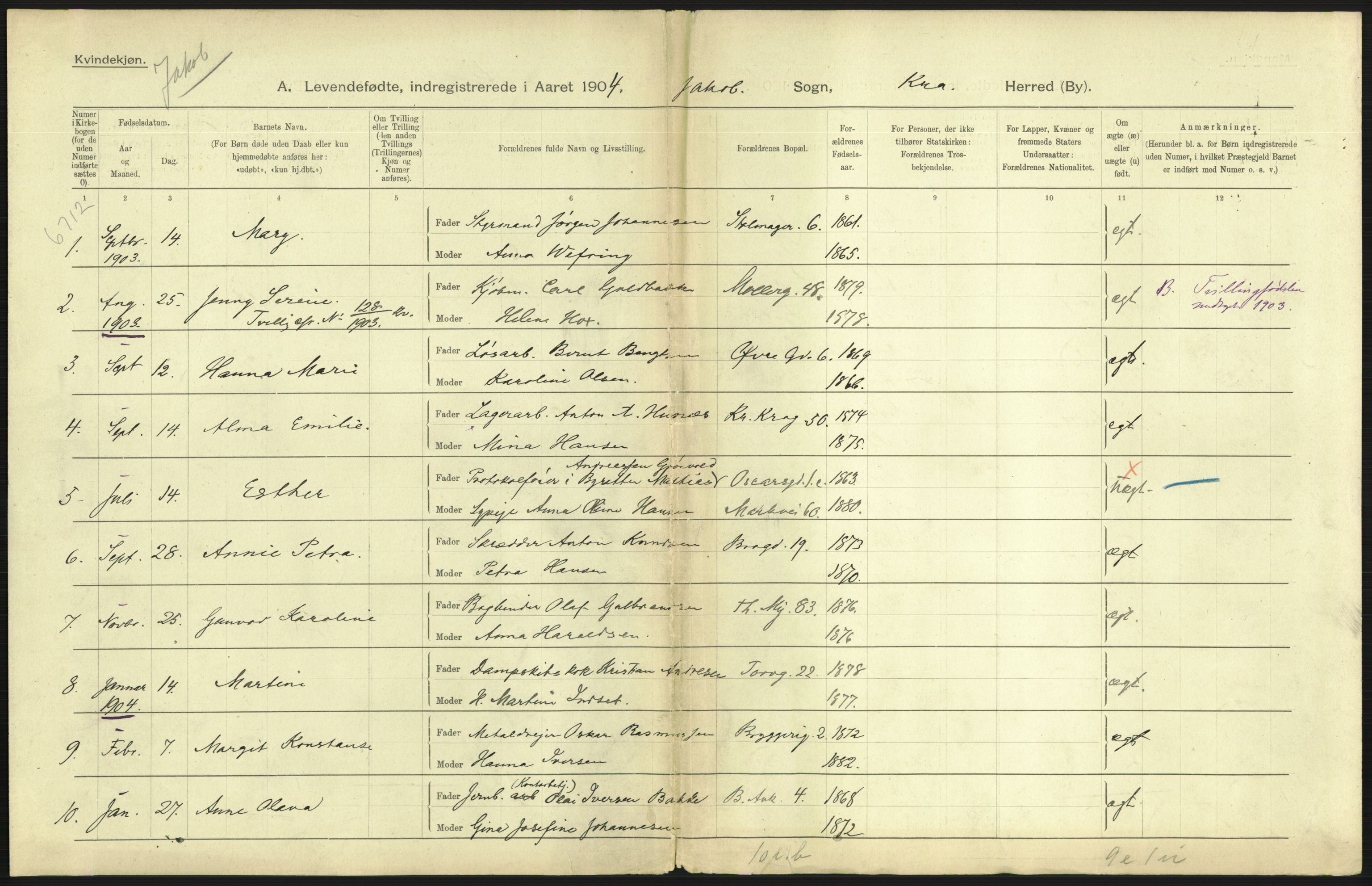 Statistisk sentralbyrå, Sosiodemografiske emner, Befolkning, AV/RA-S-2228/D/Df/Dfa/Dfab/L0003: Kristiania: Fødte, 1904, p. 9