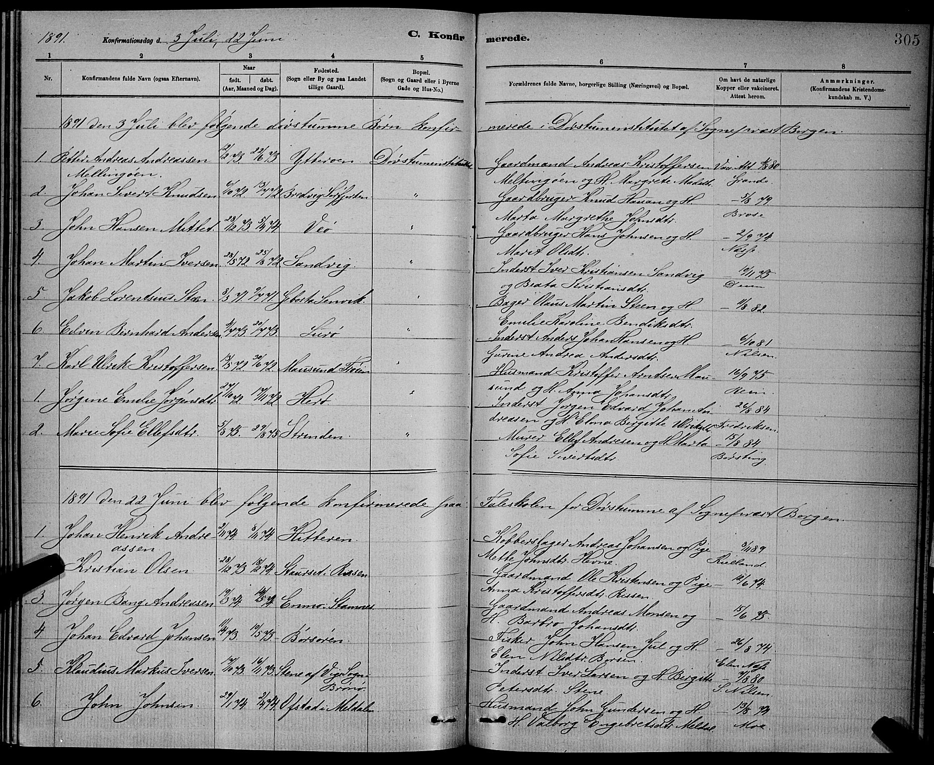 Ministerialprotokoller, klokkerbøker og fødselsregistre - Sør-Trøndelag, AV/SAT-A-1456/601/L0092: Parish register (copy) no. 601C10, 1884-1897, p. 305