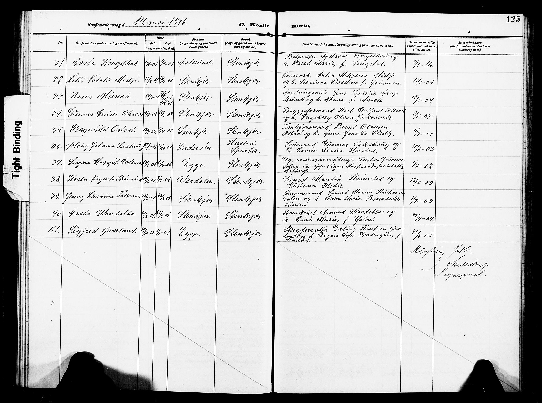 Ministerialprotokoller, klokkerbøker og fødselsregistre - Nord-Trøndelag, SAT/A-1458/739/L0376: Parish register (copy) no. 739C04, 1908-1917, p. 125