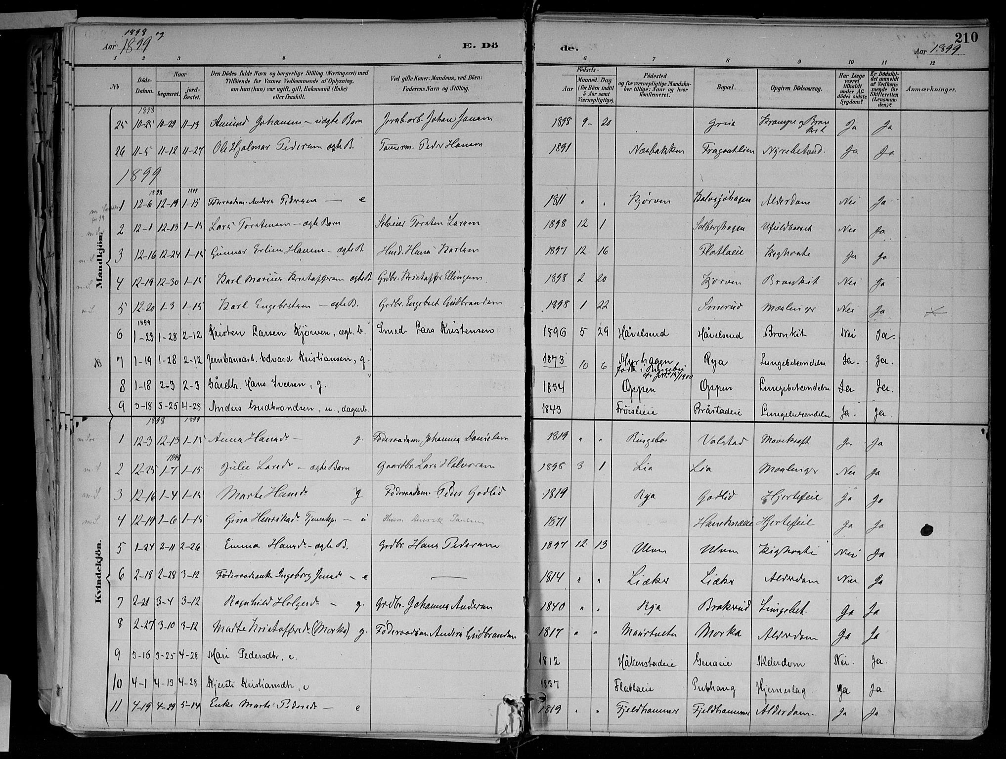 Jevnaker prestekontor, AV/SAH-PREST-116/H/Ha/Haa/L0010: Parish register (official) no. 10, 1891-1906, p. 210