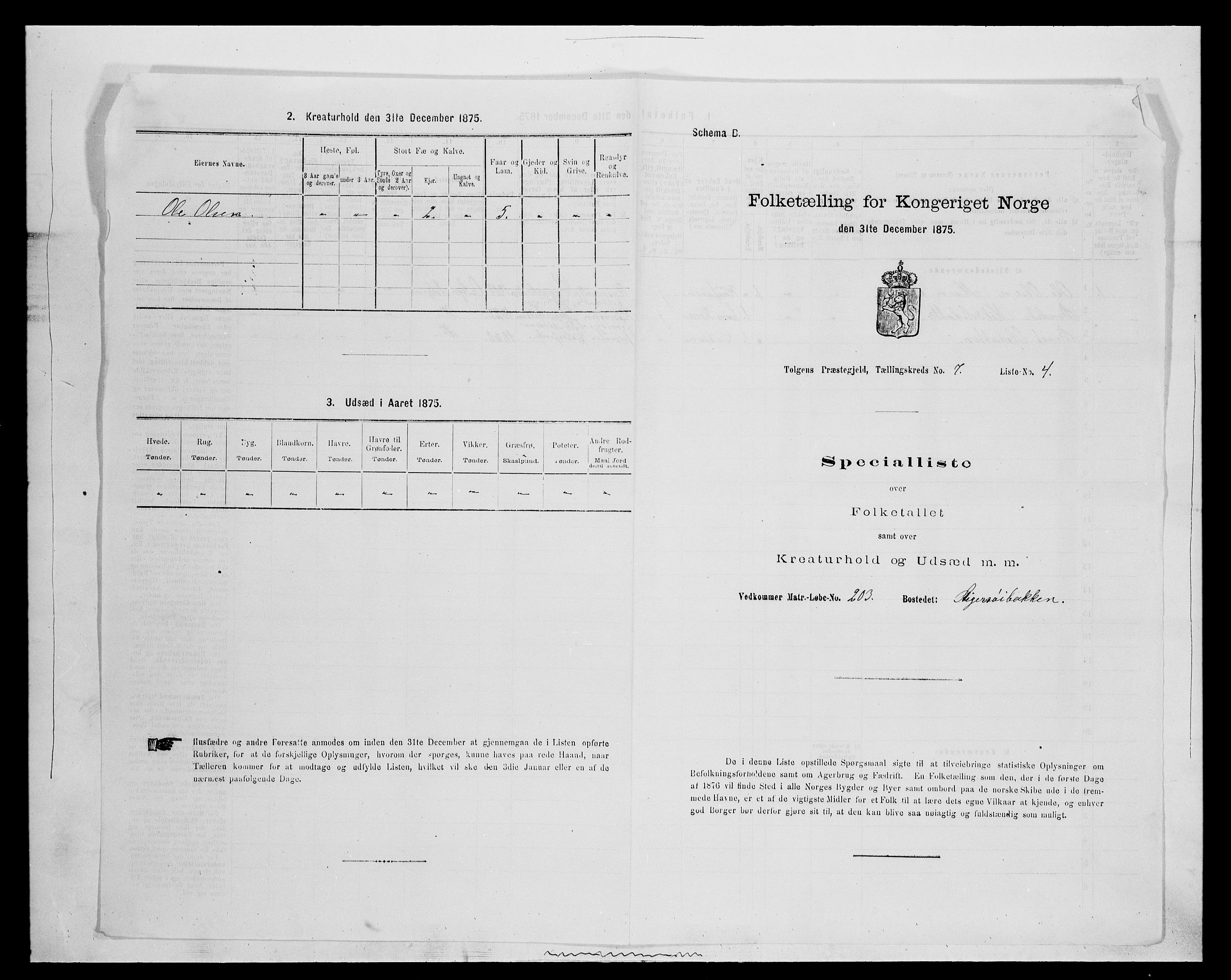 SAH, 1875 census for 0436P Tolga, 1875, p. 701