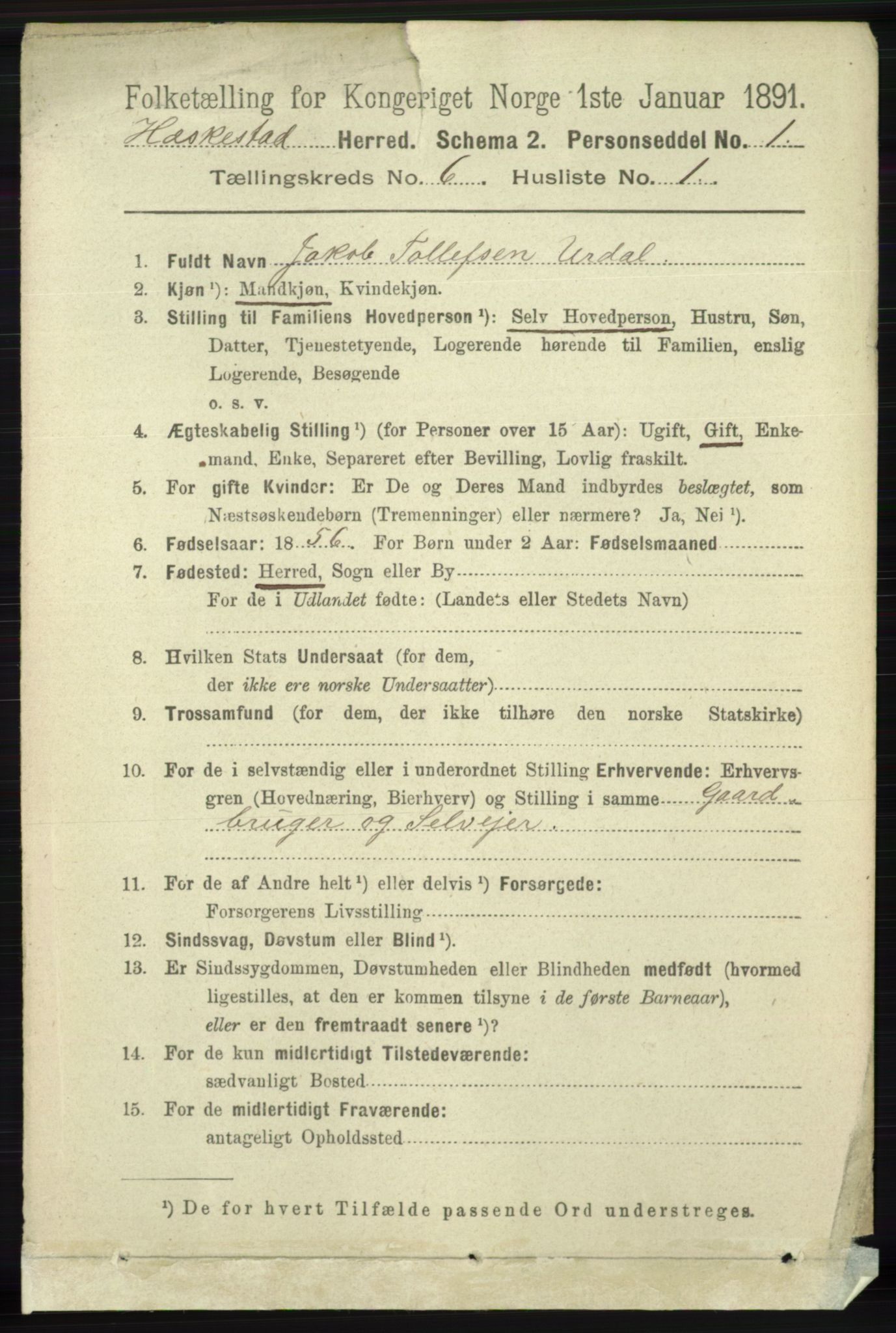 RA, 1891 census for 1113 Heskestad, 1891, p. 1015