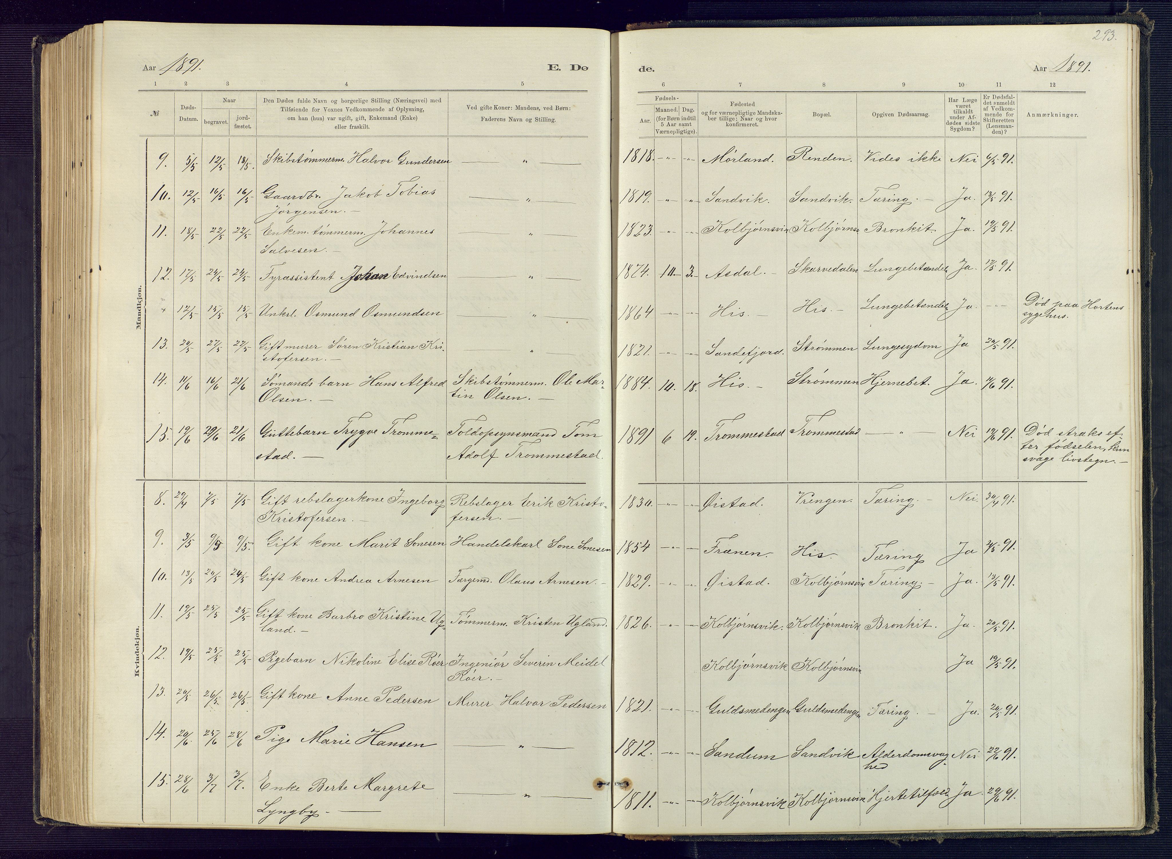 Hisøy sokneprestkontor, SAK/1111-0020/F/Fb/L0003: Parish register (copy) no. B 3, 1885-1905, p. 293