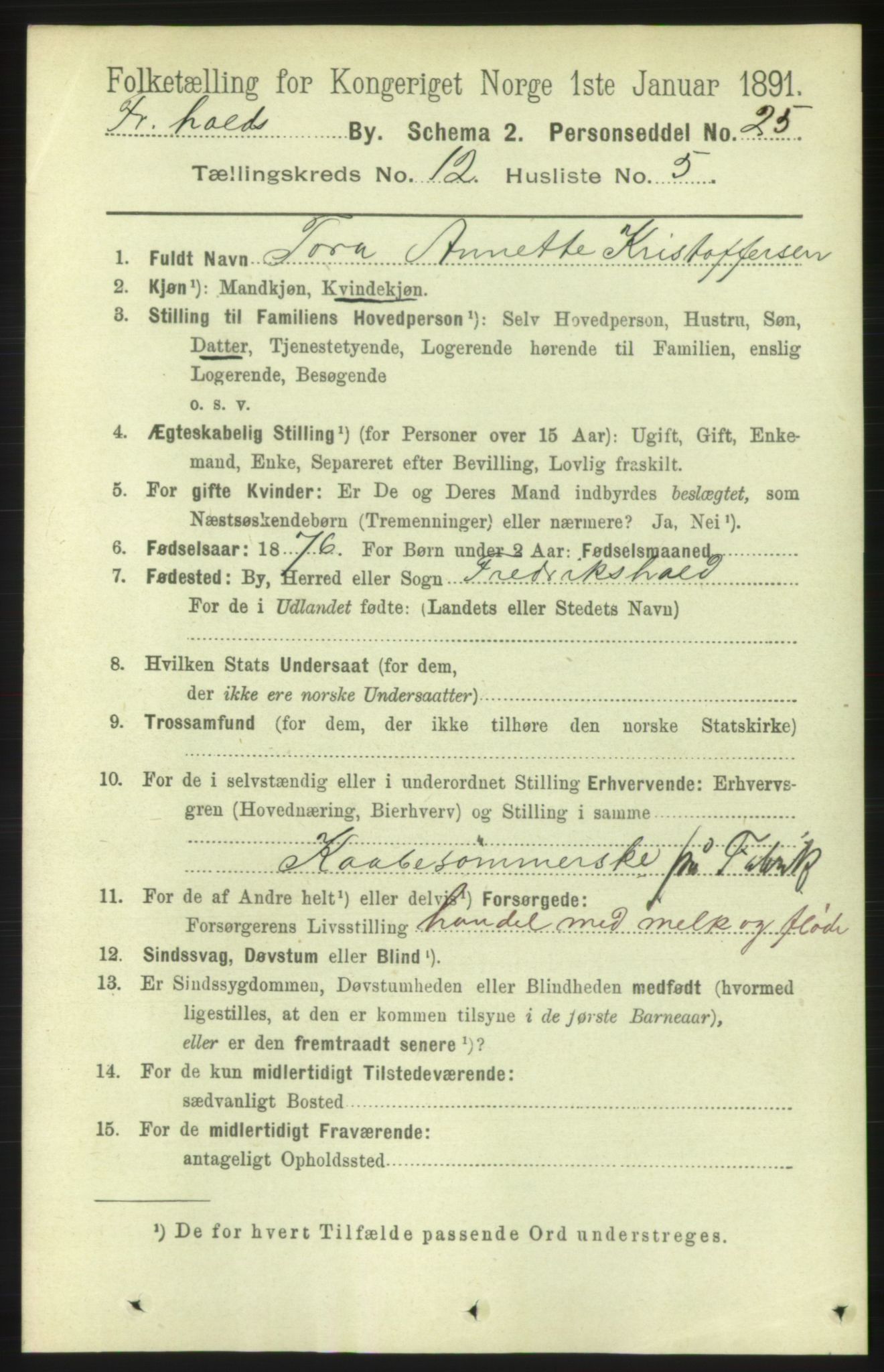 RA, 1891 census for 0101 Fredrikshald, 1891, p. 8390