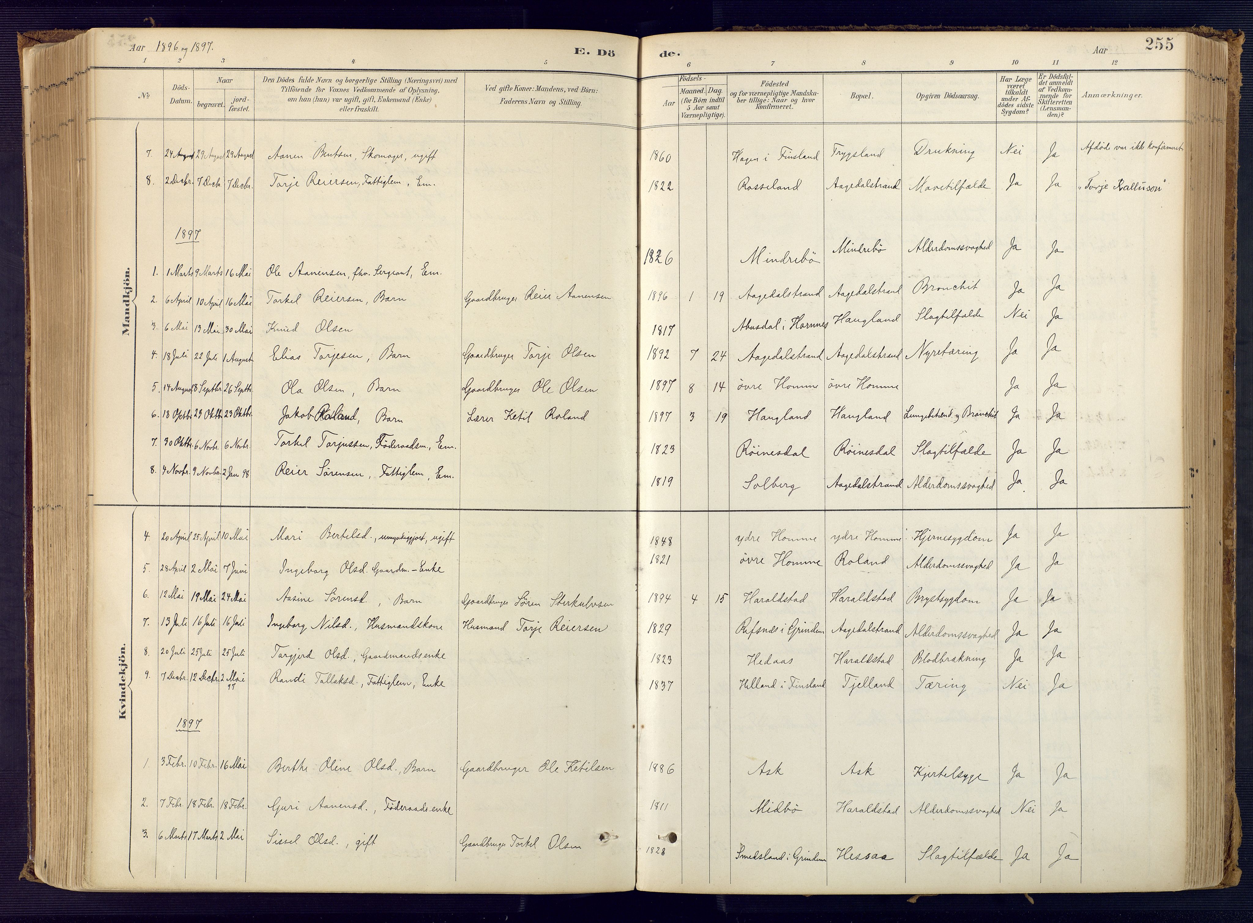 Bjelland sokneprestkontor, SAK/1111-0005/F/Fa/Faa/L0004: Parish register (official) no. A 4, 1887-1923, p. 255