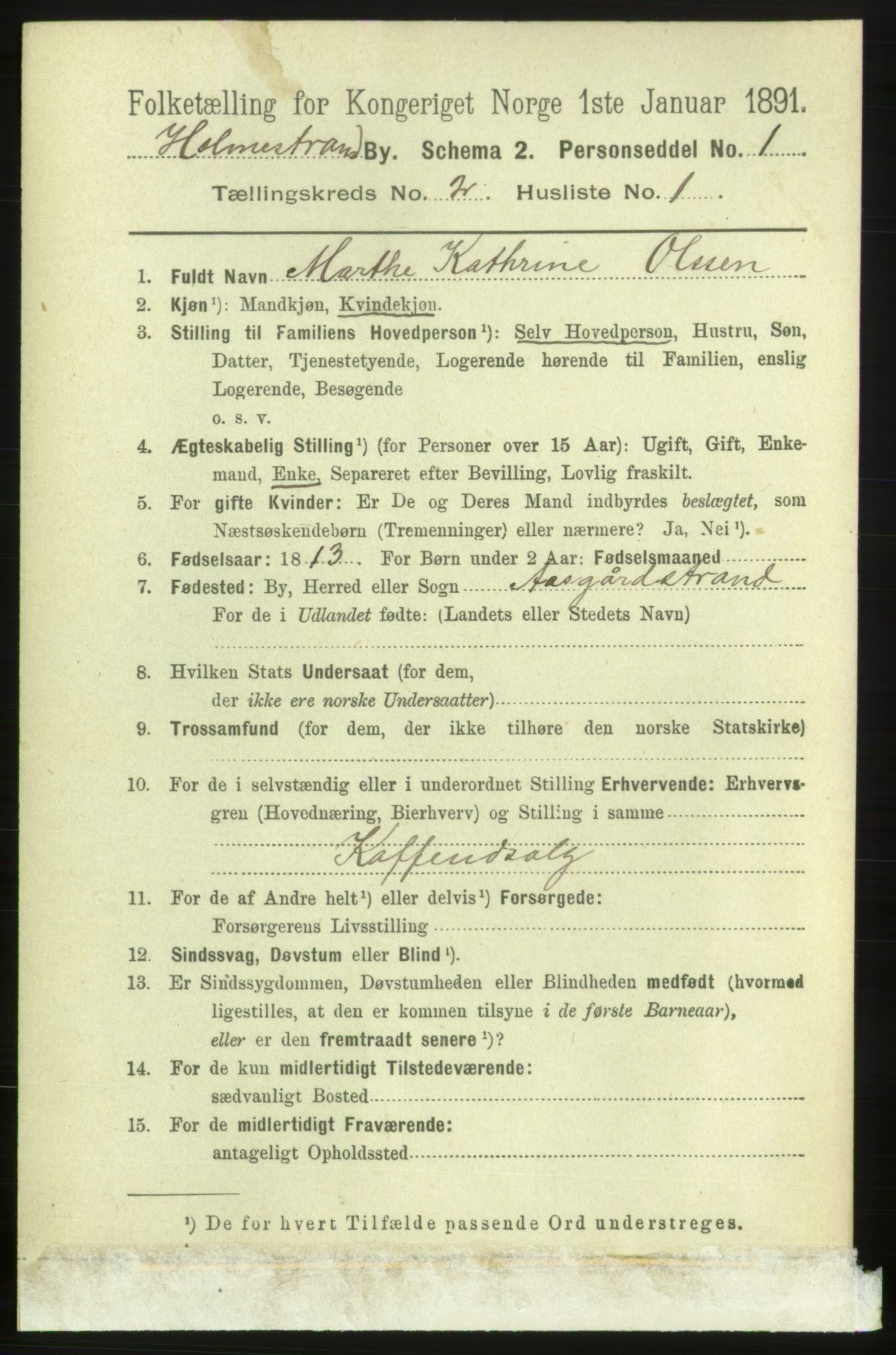 RA, 1891 census for 0702 Holmestrand, 1891, p. 1070