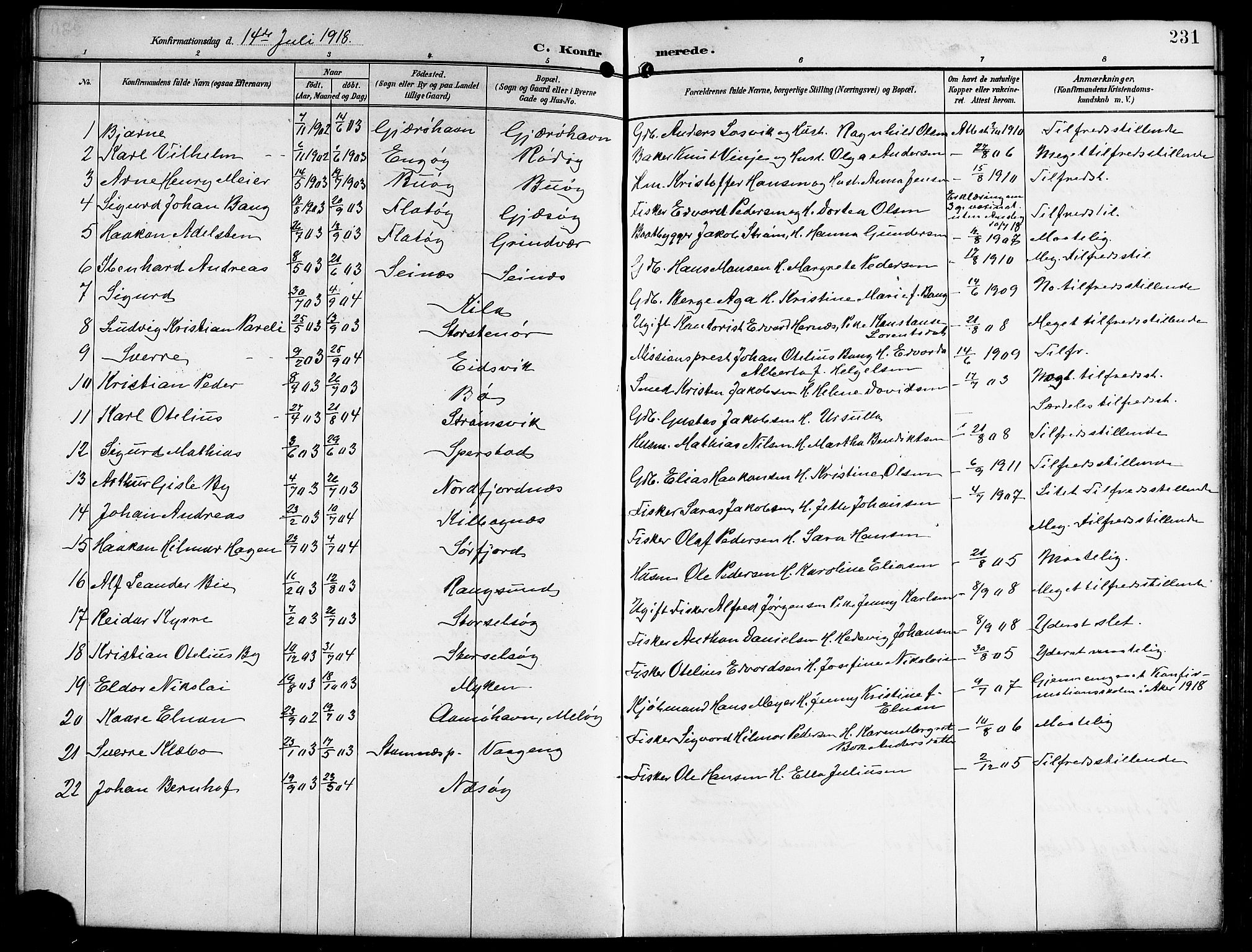 Ministerialprotokoller, klokkerbøker og fødselsregistre - Nordland, SAT/A-1459/841/L0621: Parish register (copy) no. 841C05, 1897-1923, p. 231