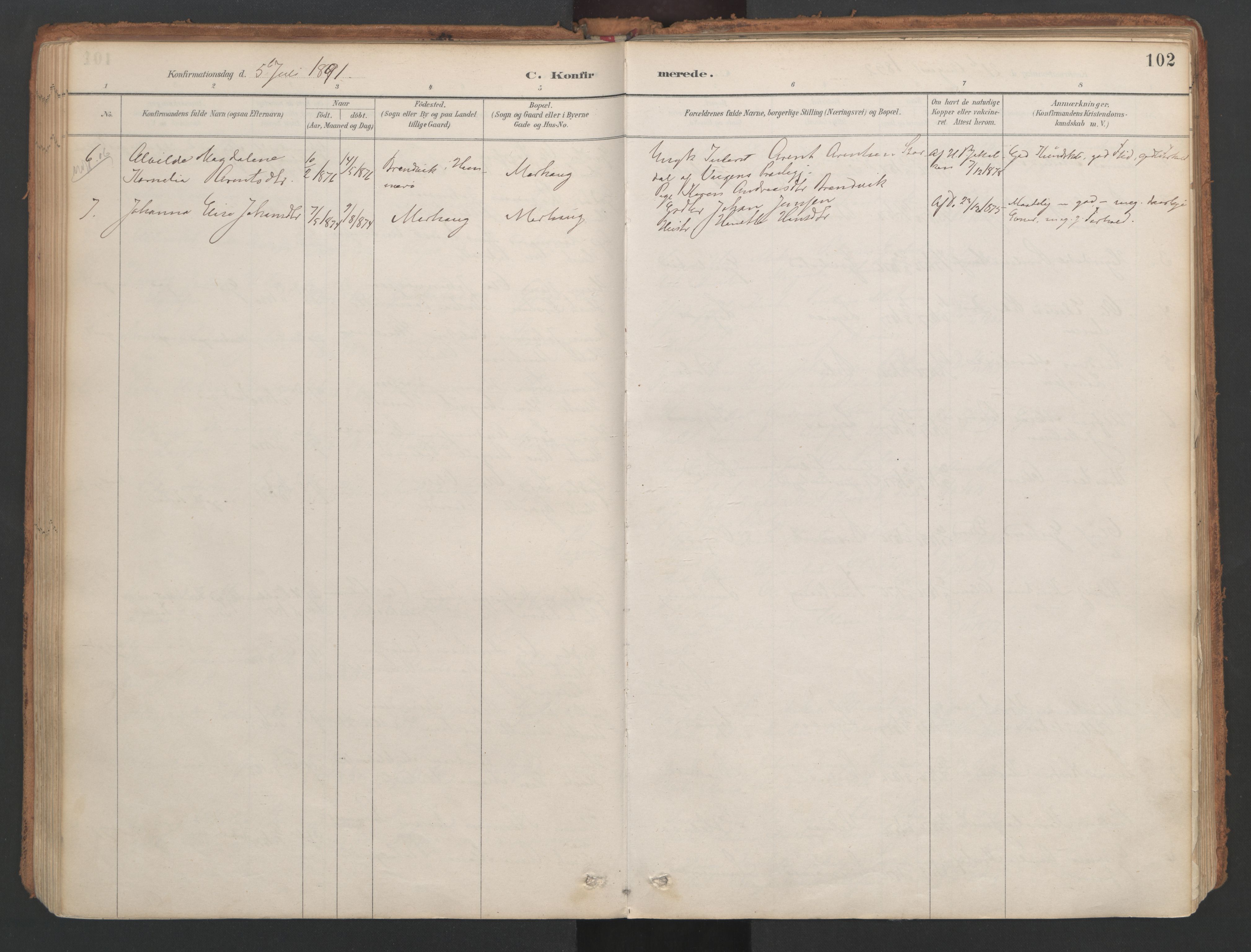 Ministerialprotokoller, klokkerbøker og fødselsregistre - Nordland, AV/SAT-A-1459/857/L0822: Parish register (official) no. 857A02, 1890-1917, p. 102