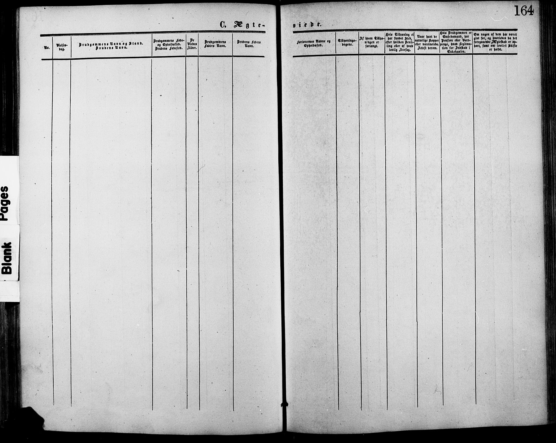 Lesja prestekontor, SAH/PREST-068/H/Ha/Haa/L0007: Parish register (official) no. 7, 1854-1862, p. 164