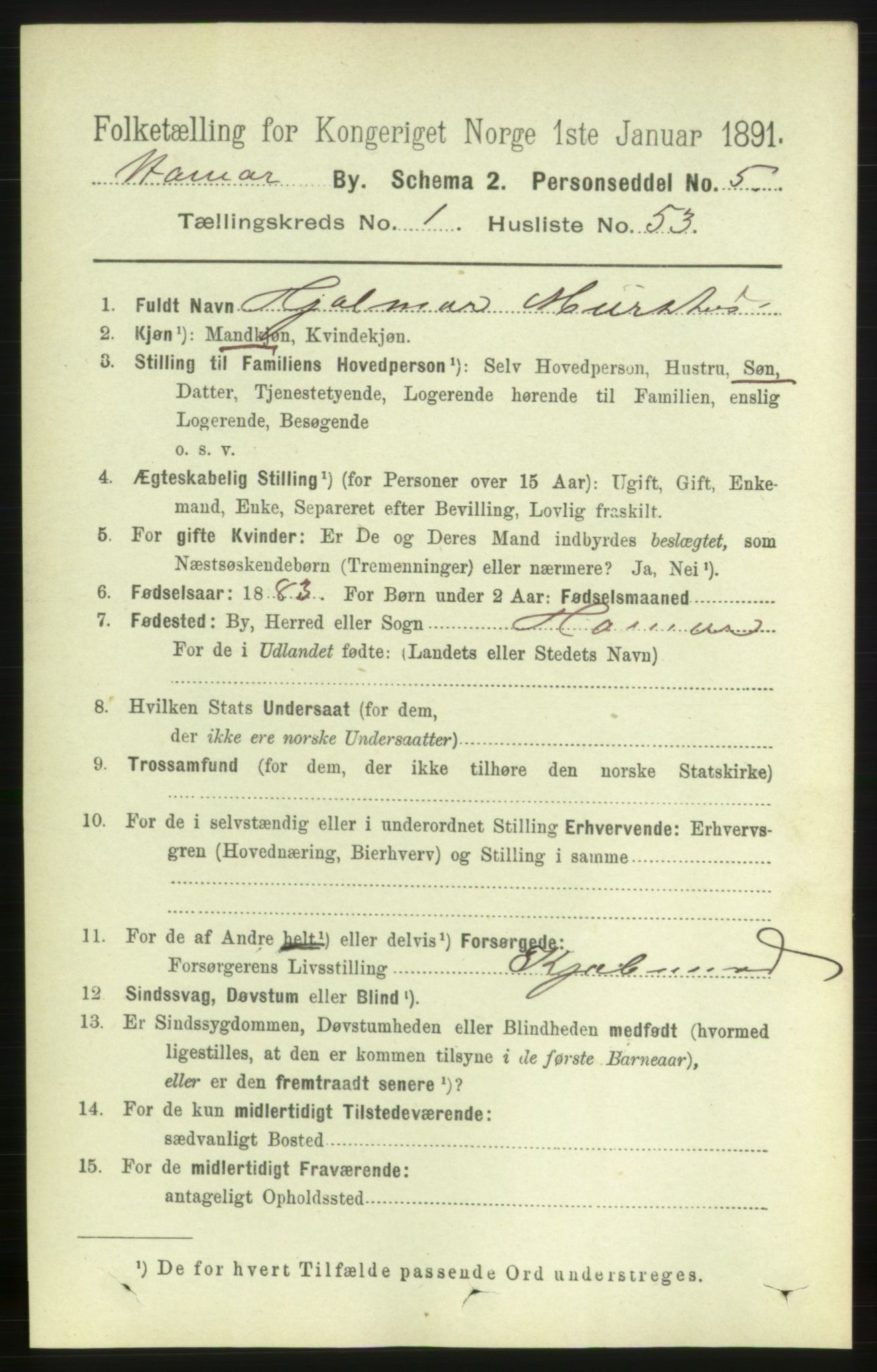 RA, 1891 census for 0401 Hamar, 1891, p. 918