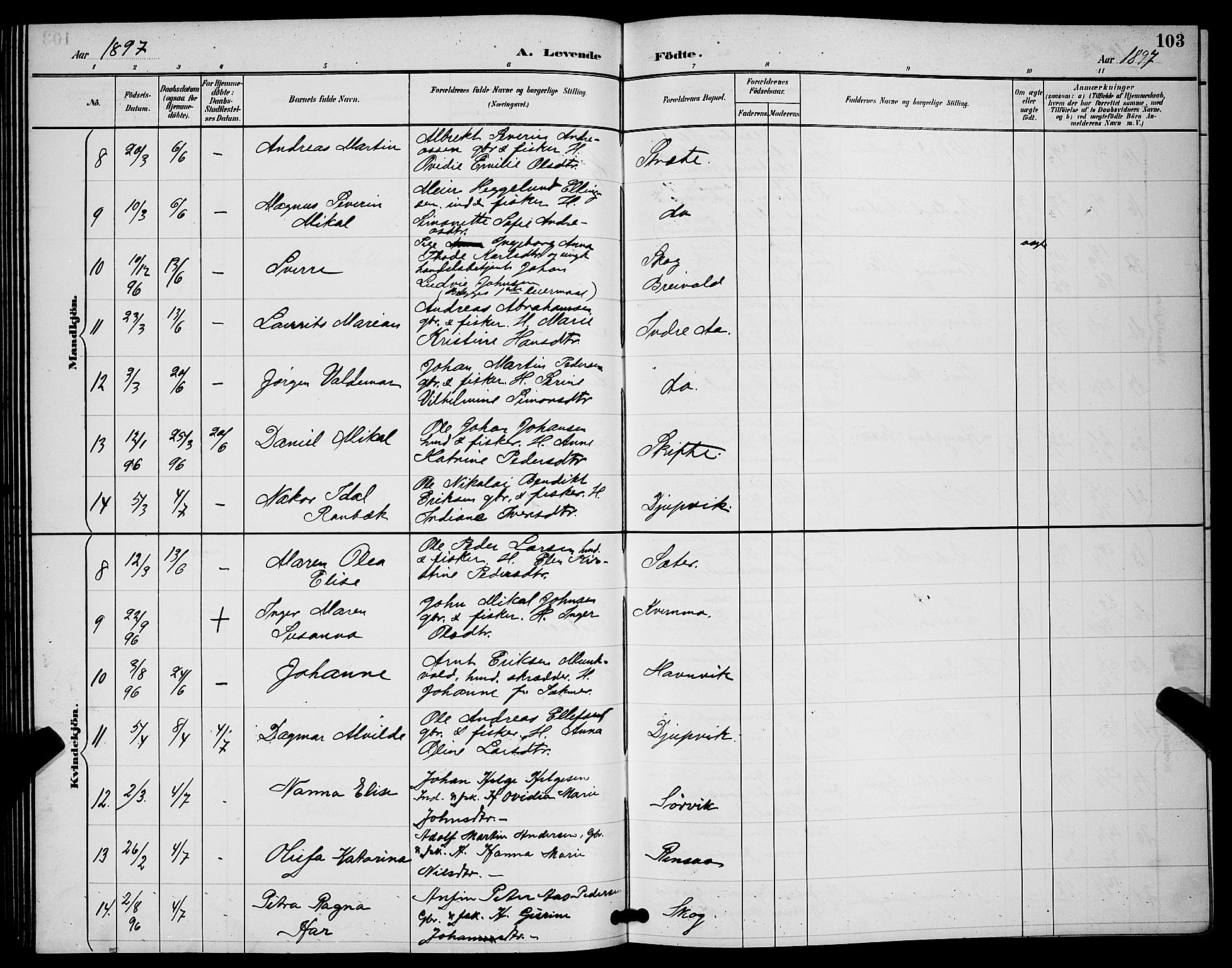 Ibestad sokneprestembete, SATØ/S-0077/H/Ha/Hab/L0008klokker: Parish register (copy) no. 8, 1890-1903, p. 103