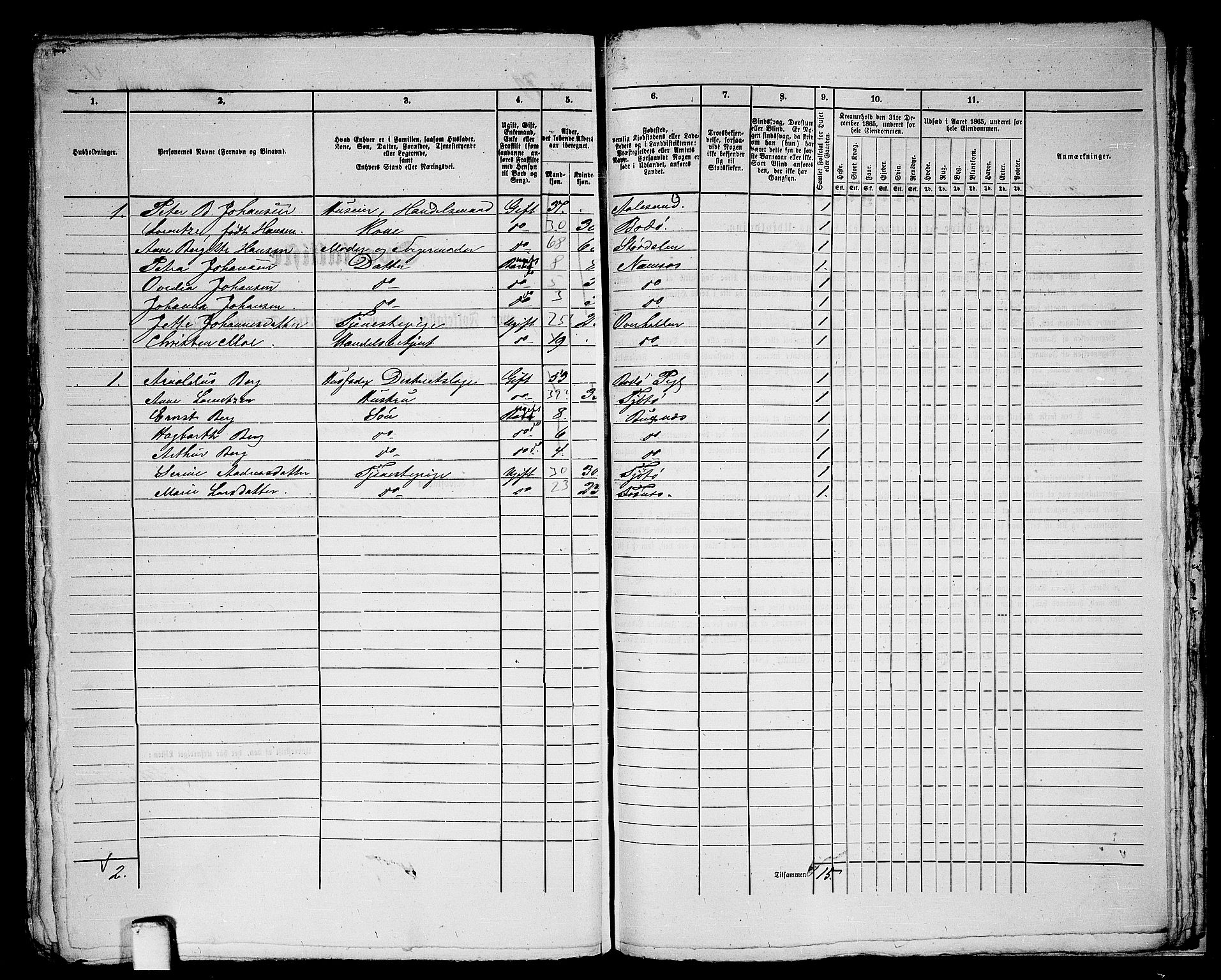 RA, 1865 census for Namsos/Namsos, 1865, p. 163