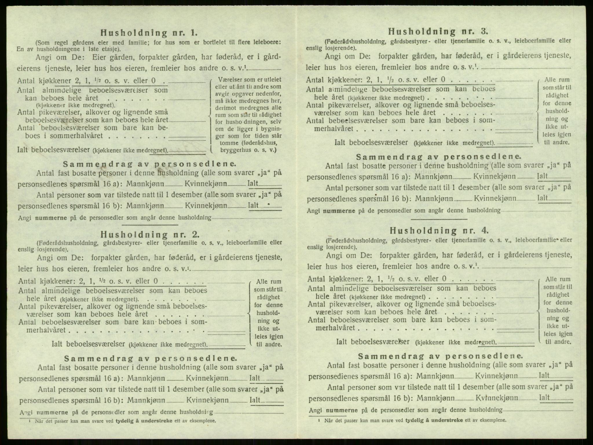 SAKO, 1920 census for Borre, 1920, p. 470