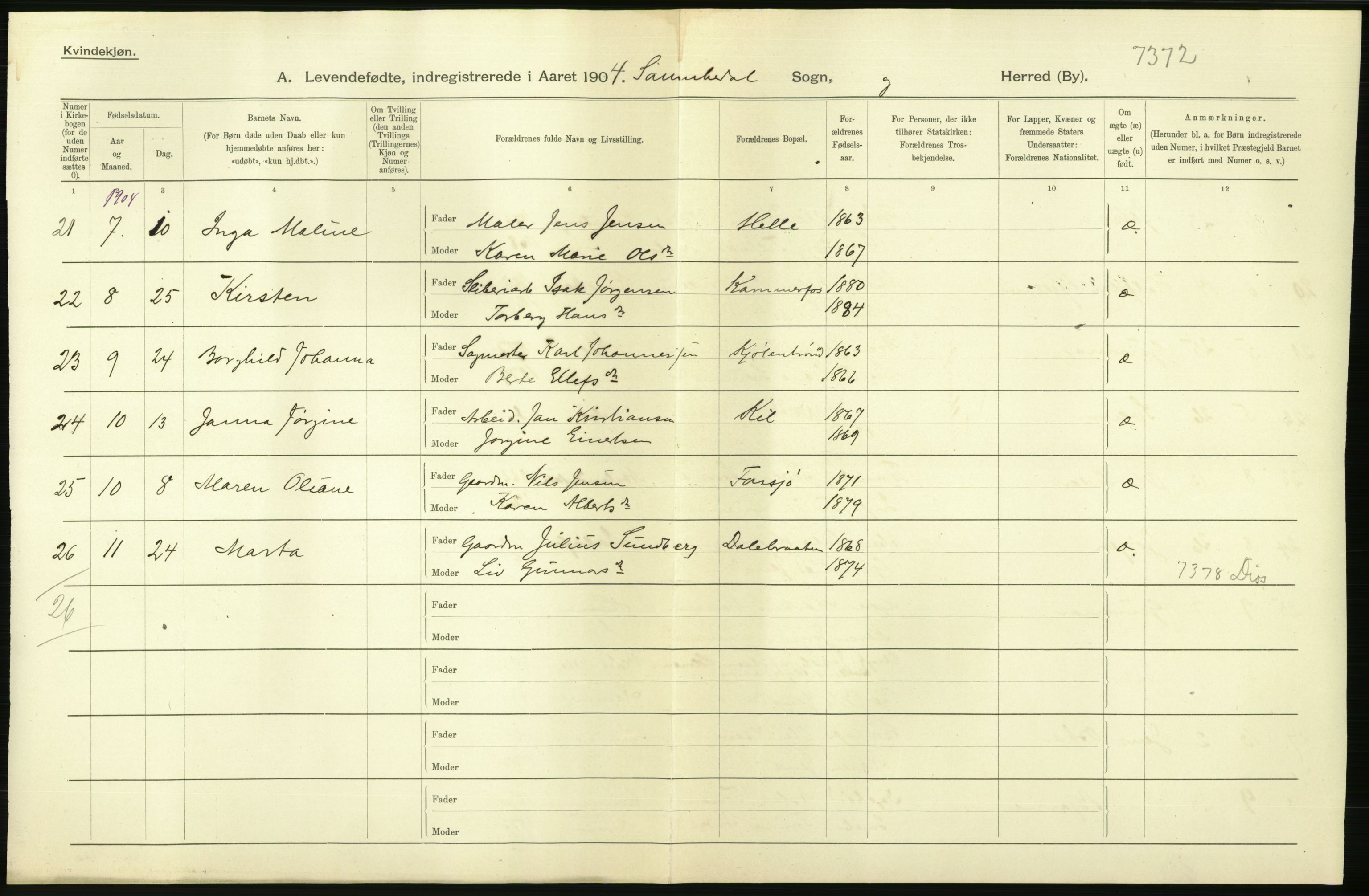 Statistisk sentralbyrå, Sosiodemografiske emner, Befolkning, AV/RA-S-2228/D/Df/Dfa/Dfab/L0009: Bratsberg amt: Fødte, gifte, døde, 1904, p. 28