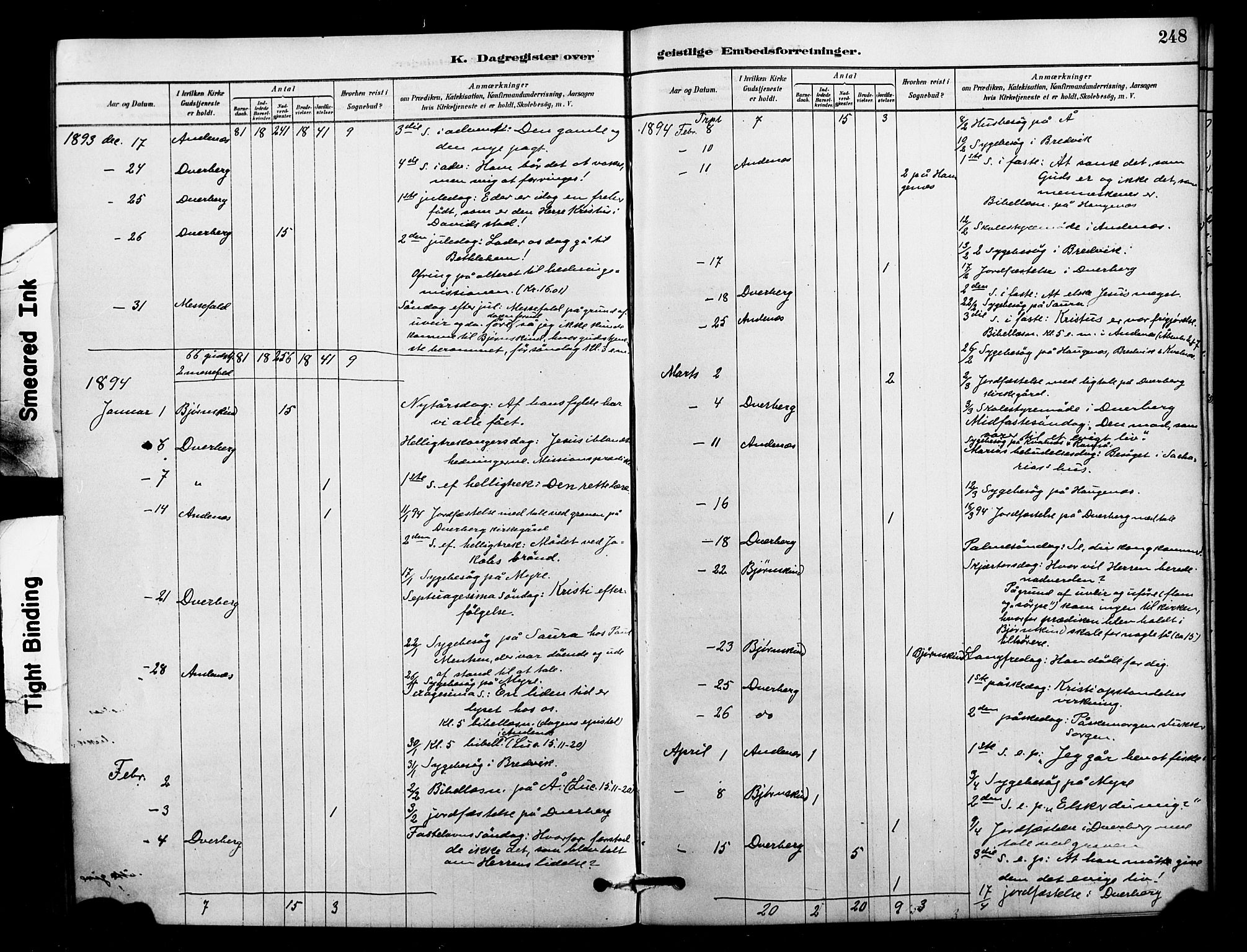 Ministerialprotokoller, klokkerbøker og fødselsregistre - Nordland, AV/SAT-A-1459/897/L1399: Parish register (official) no. 897C06, 1881-1896, p. 248