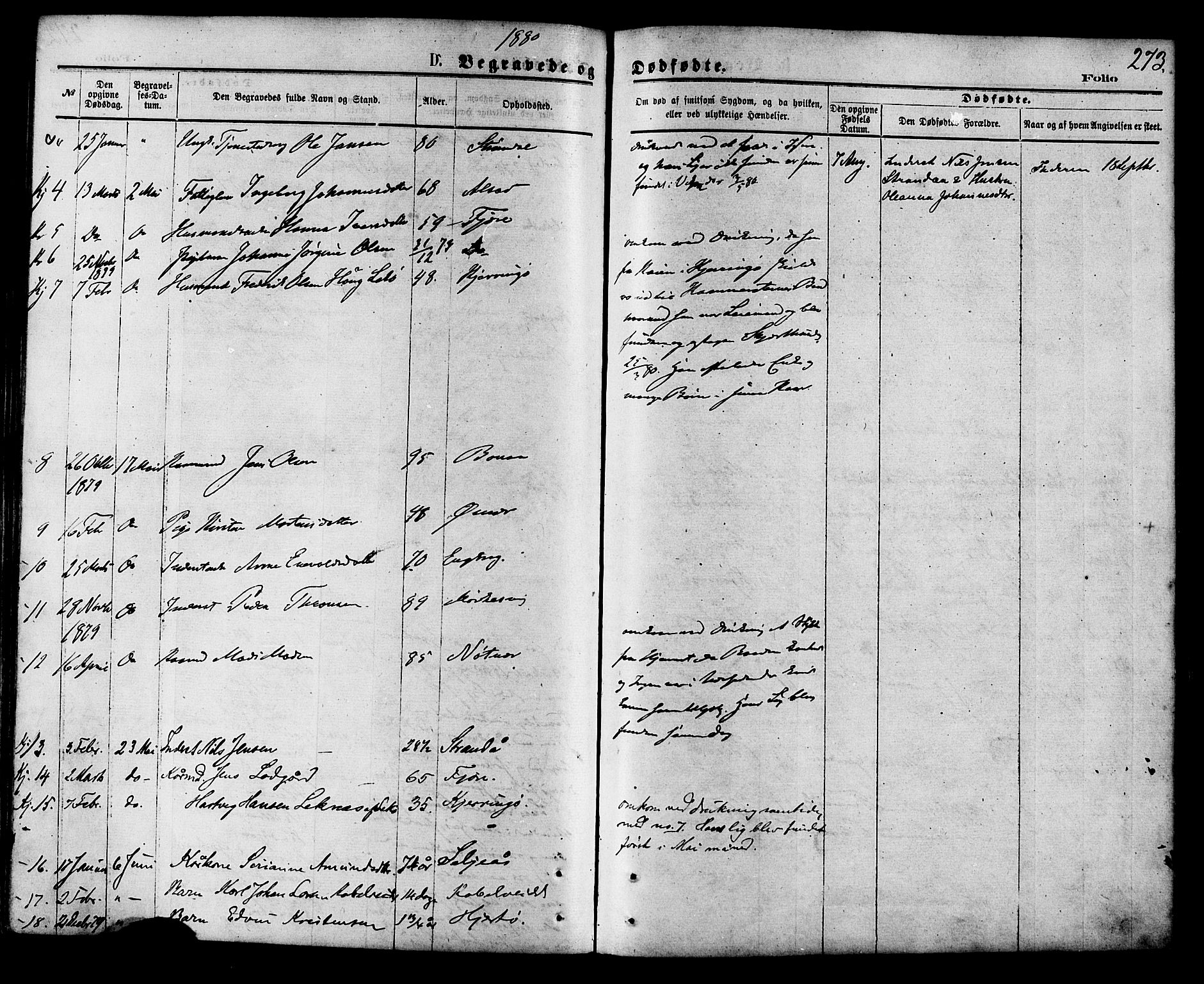 Ministerialprotokoller, klokkerbøker og fødselsregistre - Nordland, AV/SAT-A-1459/853/L0771: Parish register (official) no. 853A10, 1870-1881, p. 273