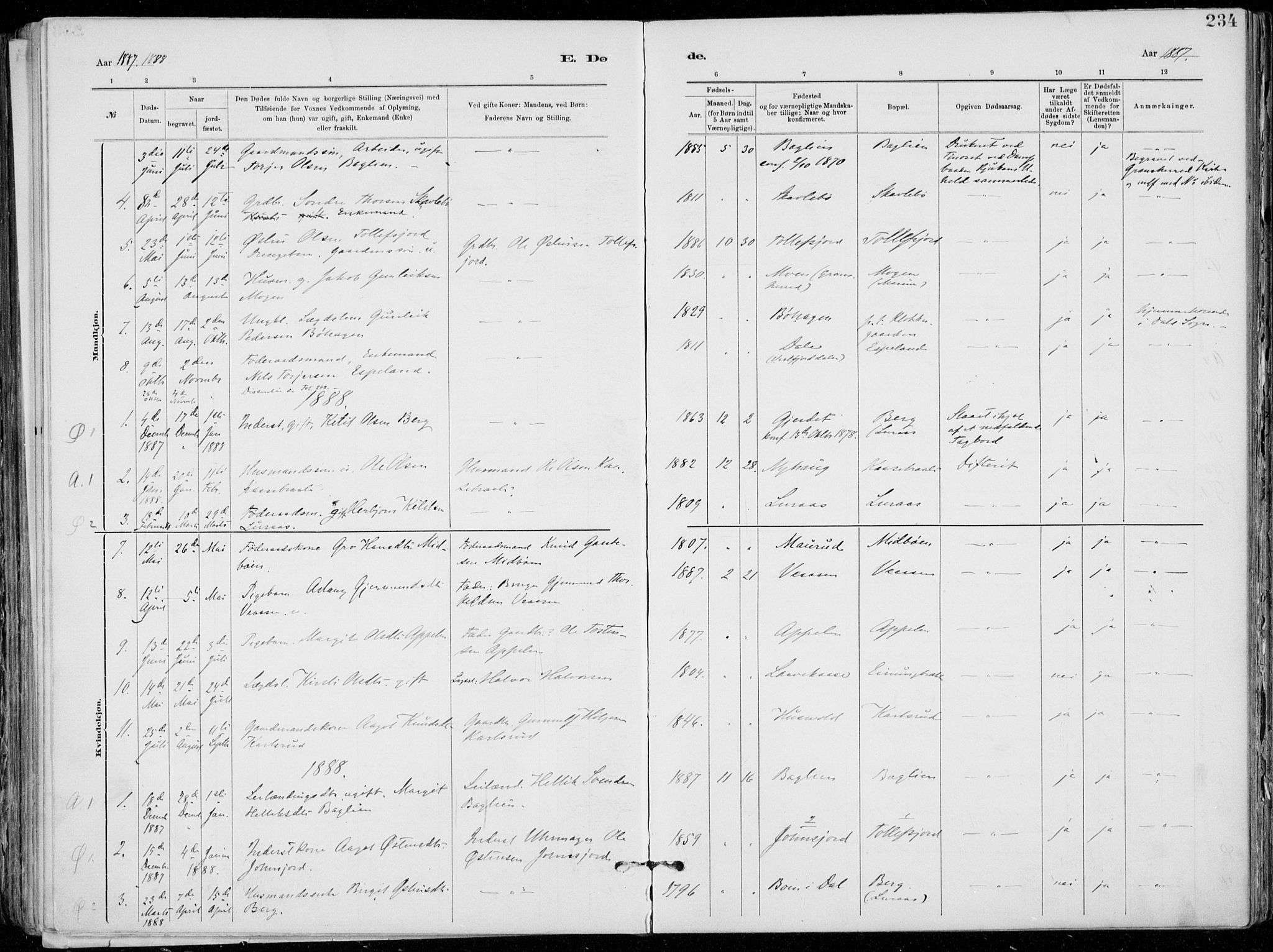 Tinn kirkebøker, SAKO/A-308/F/Fa/L0007: Parish register (official) no. I 7, 1878-1922, p. 234