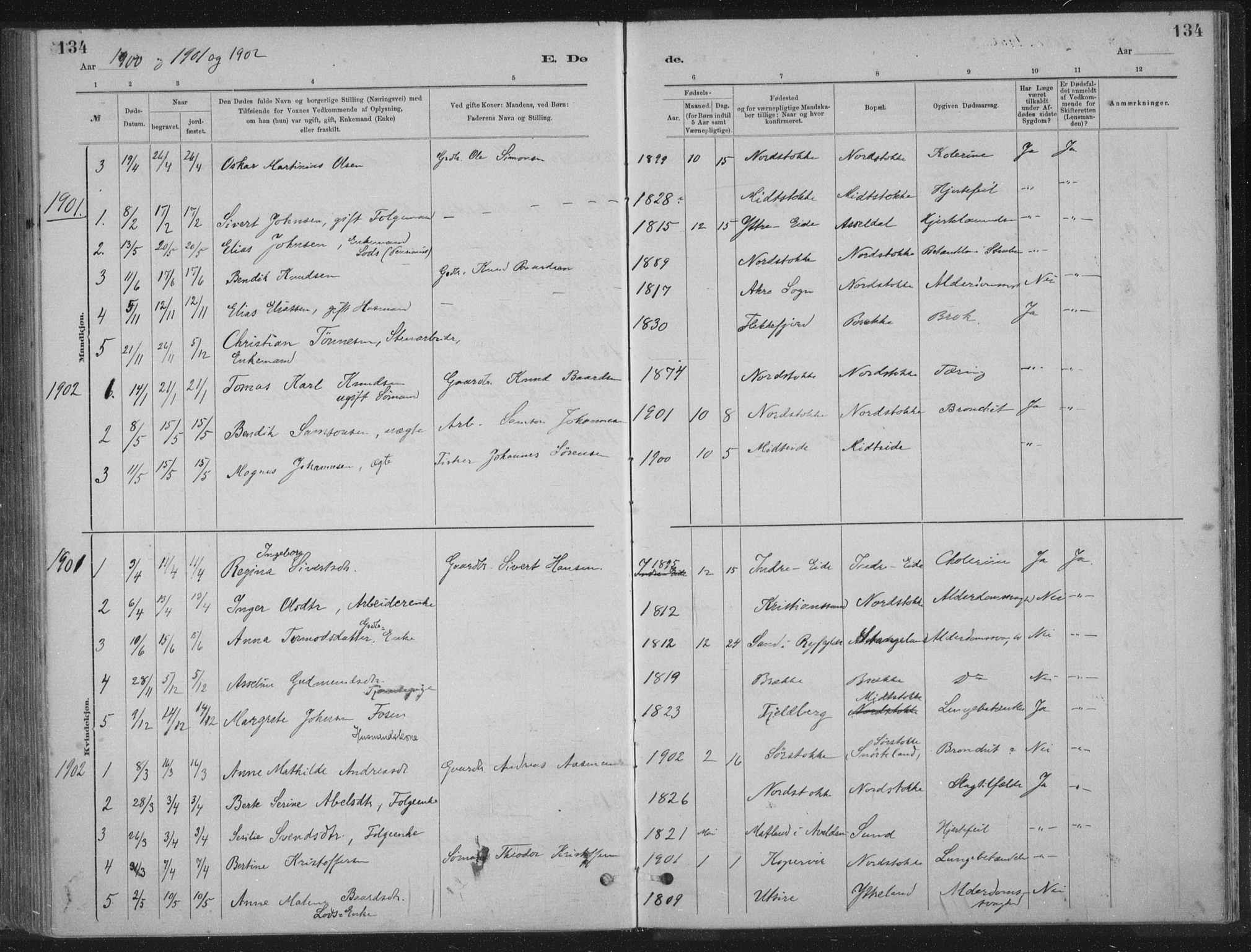 Kopervik sokneprestkontor, AV/SAST-A-101850/H/Ha/Haa/L0002: Parish register (official) no. A 2, 1880-1912, p. 134