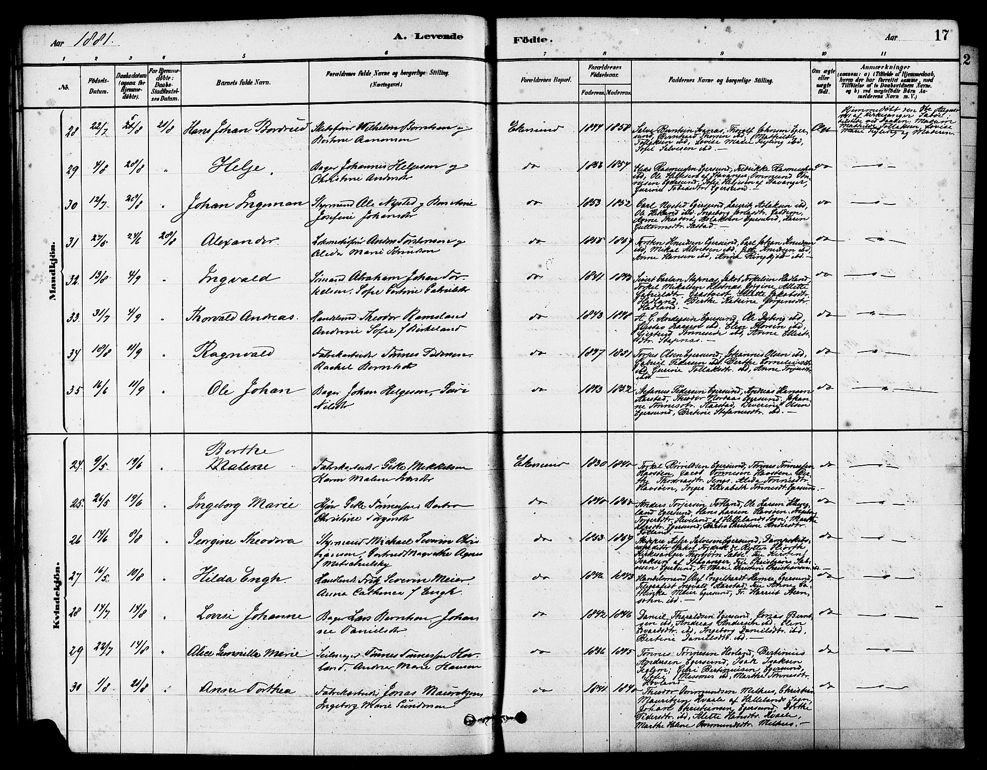 Eigersund sokneprestkontor, AV/SAST-A-101807/001/30/30BA/L0015: Parish register (official) no. A 15, 1879-1892, p. 17