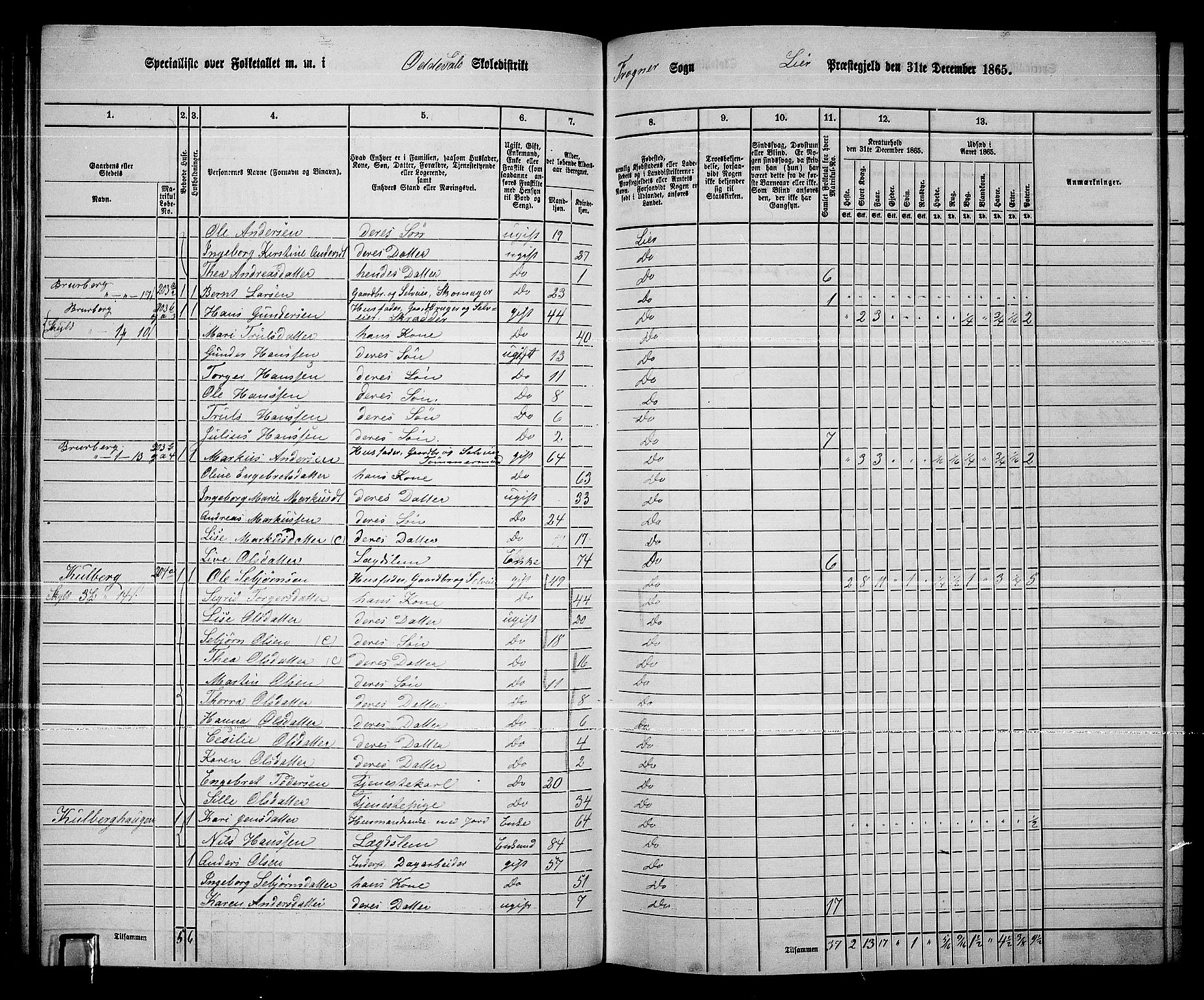 RA, 1865 census for Lier, 1865, p. 124