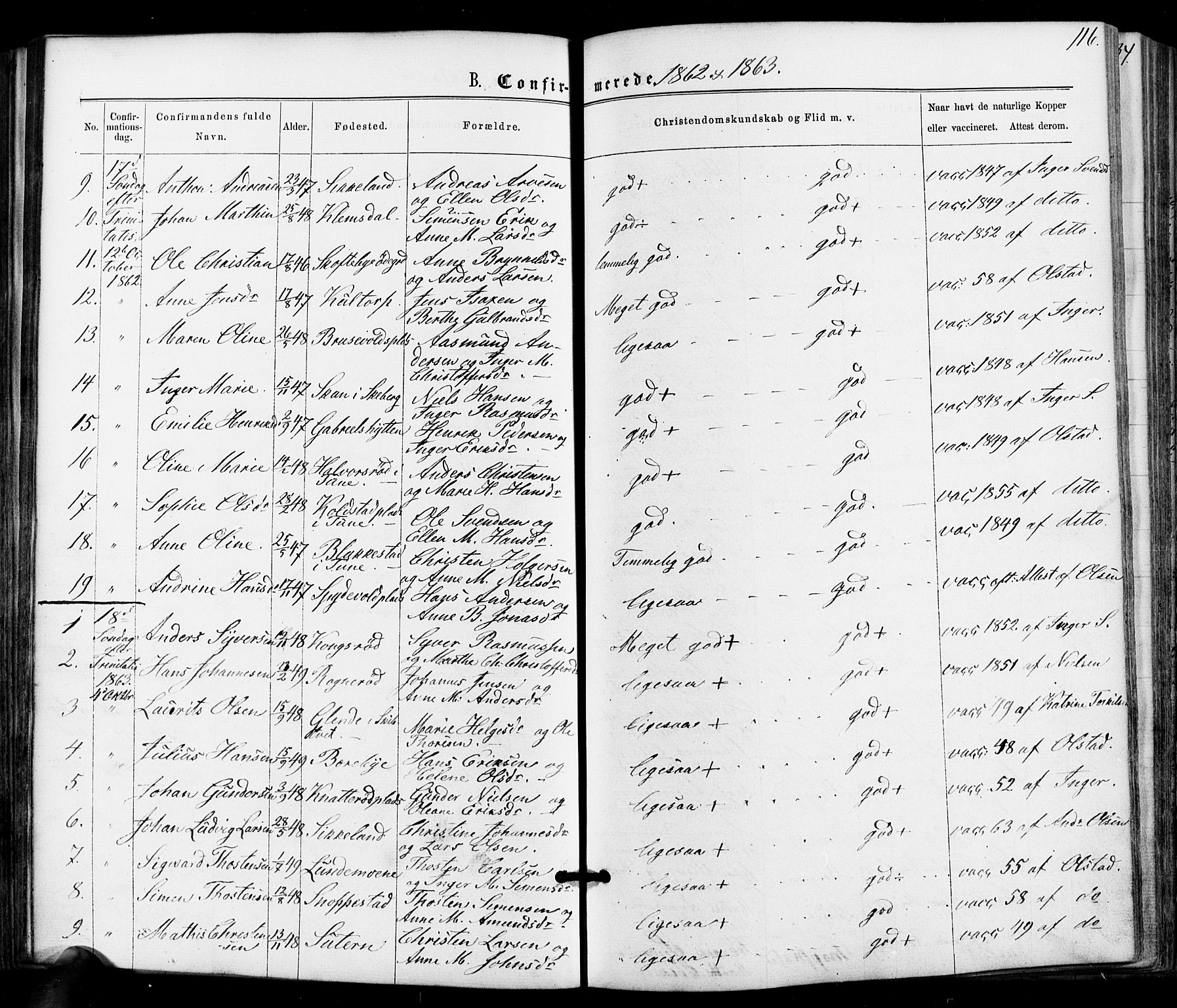 Varteig prestekontor Kirkebøker, SAO/A-10447a/F/Fa/L0001: Parish register (official) no. 1, 1861-1877, p. 116