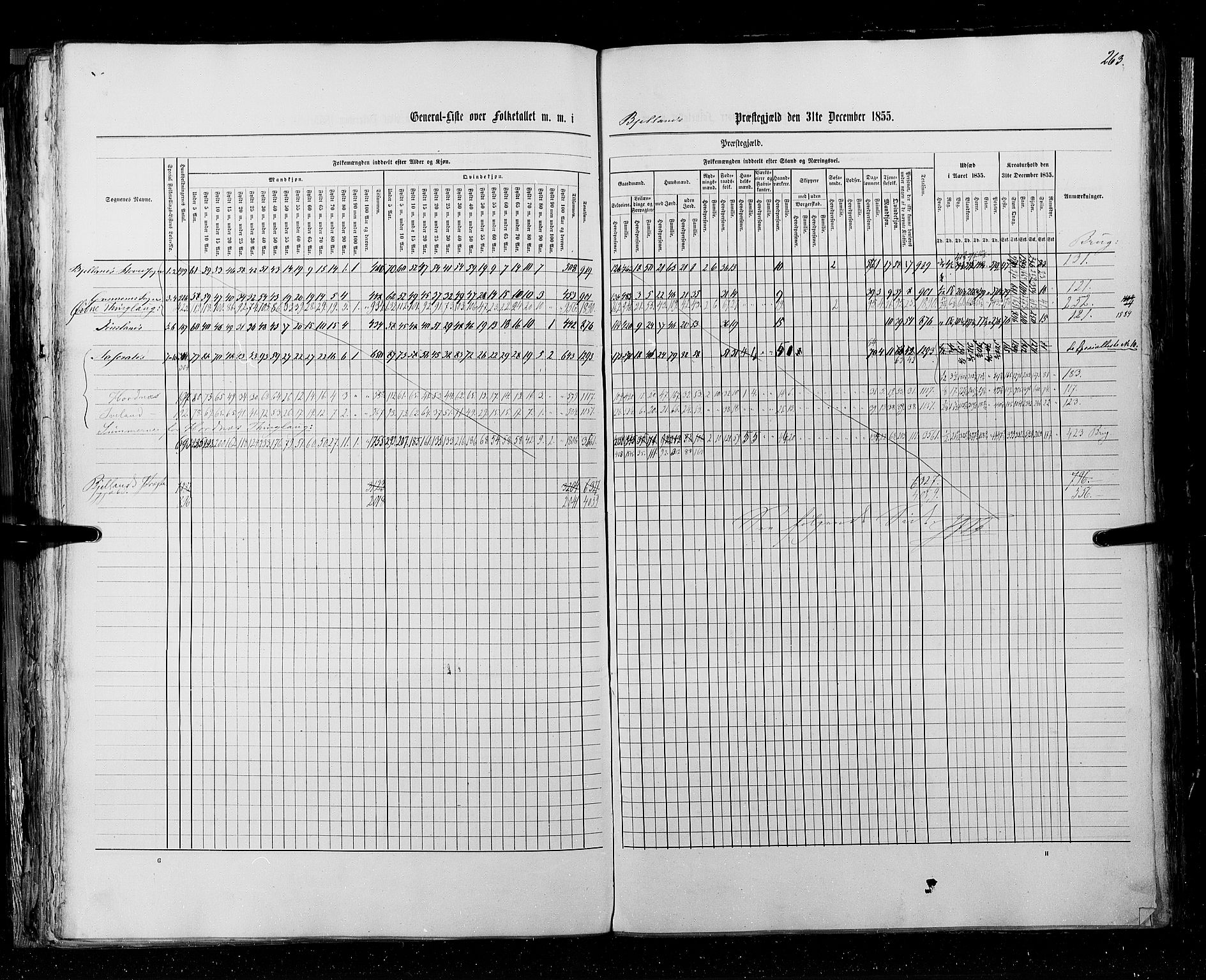 RA, Census 1855, vol. 3: Bratsberg amt, Nedenes amt og Lister og Mandal amt, 1855, p. 263