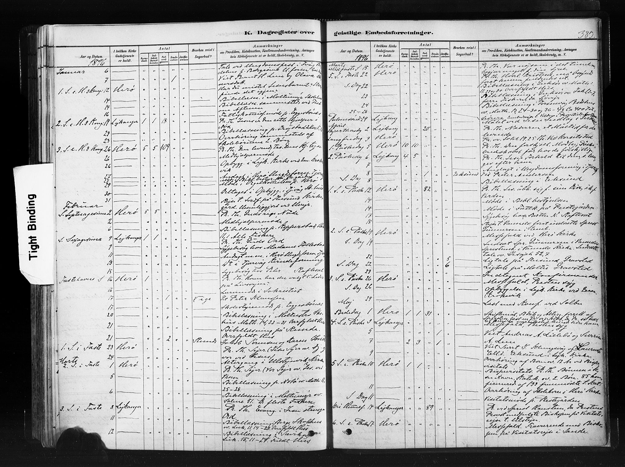 Ministerialprotokoller, klokkerbøker og fødselsregistre - Møre og Romsdal, AV/SAT-A-1454/507/L0073: Parish register (official) no. 507A08, 1878-1904, p. 383