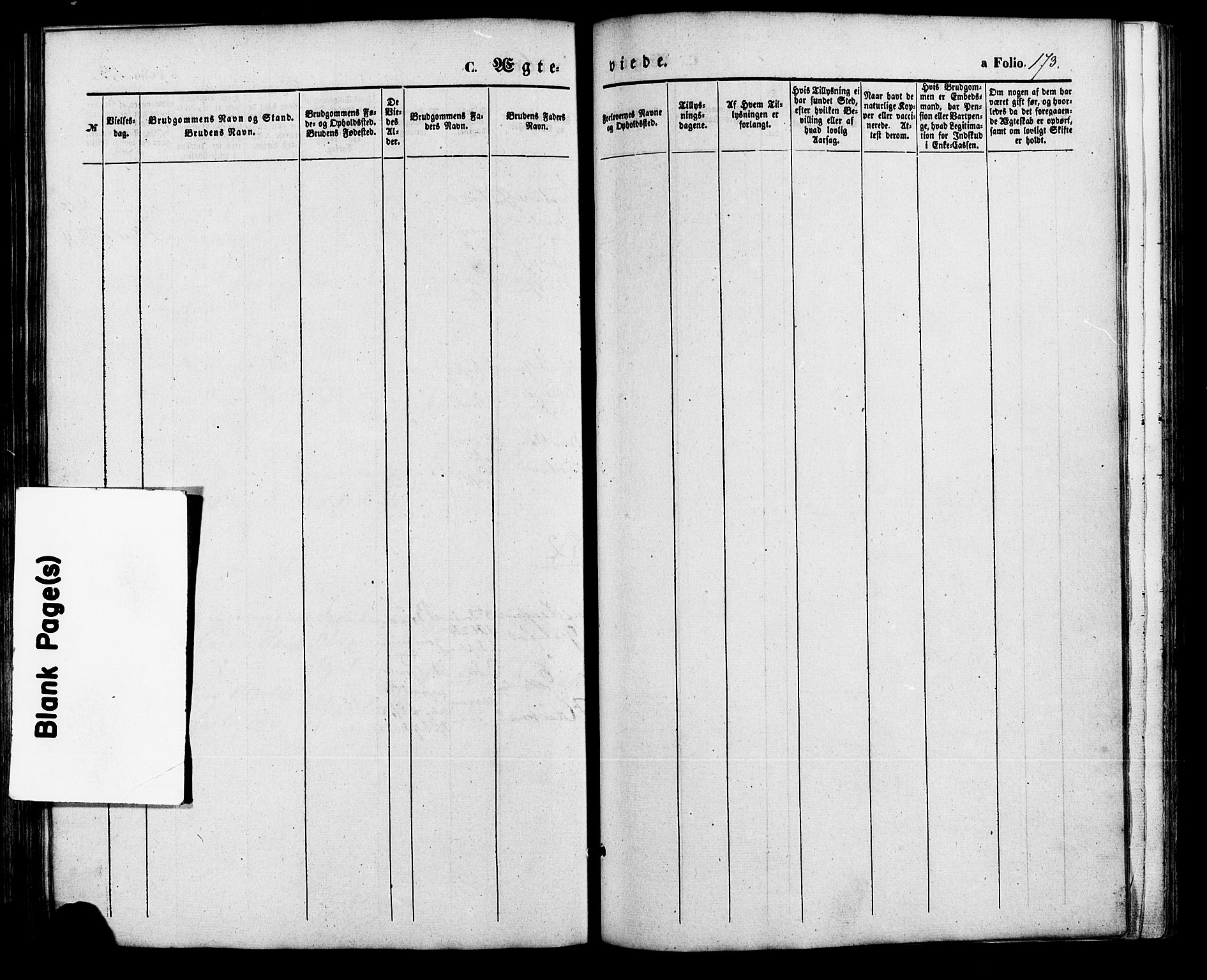 Nord-Audnedal sokneprestkontor, SAK/1111-0032/F/Fa/Faa/L0002: Parish register (official) no. A 2, 1857-1882, p. 173