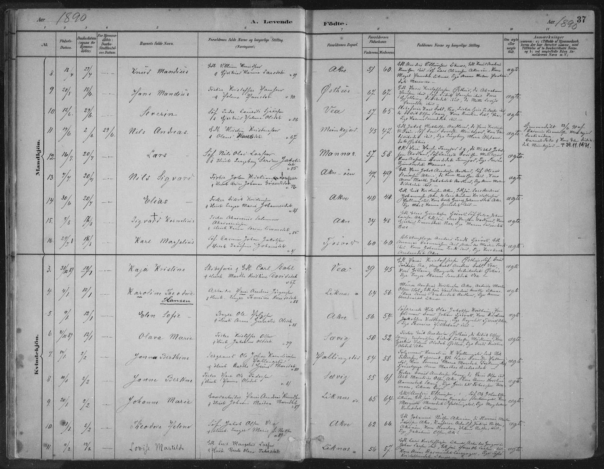 Kopervik sokneprestkontor, AV/SAST-A-101850/H/Ha/Haa/L0004: Parish register (official) no. A 4, 1882-1905, p. 37