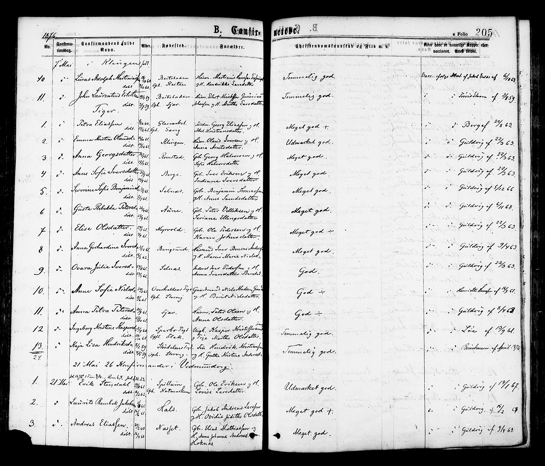 Ministerialprotokoller, klokkerbøker og fødselsregistre - Nord-Trøndelag, AV/SAT-A-1458/768/L0572: Parish register (official) no. 768A07, 1874-1886, p. 205