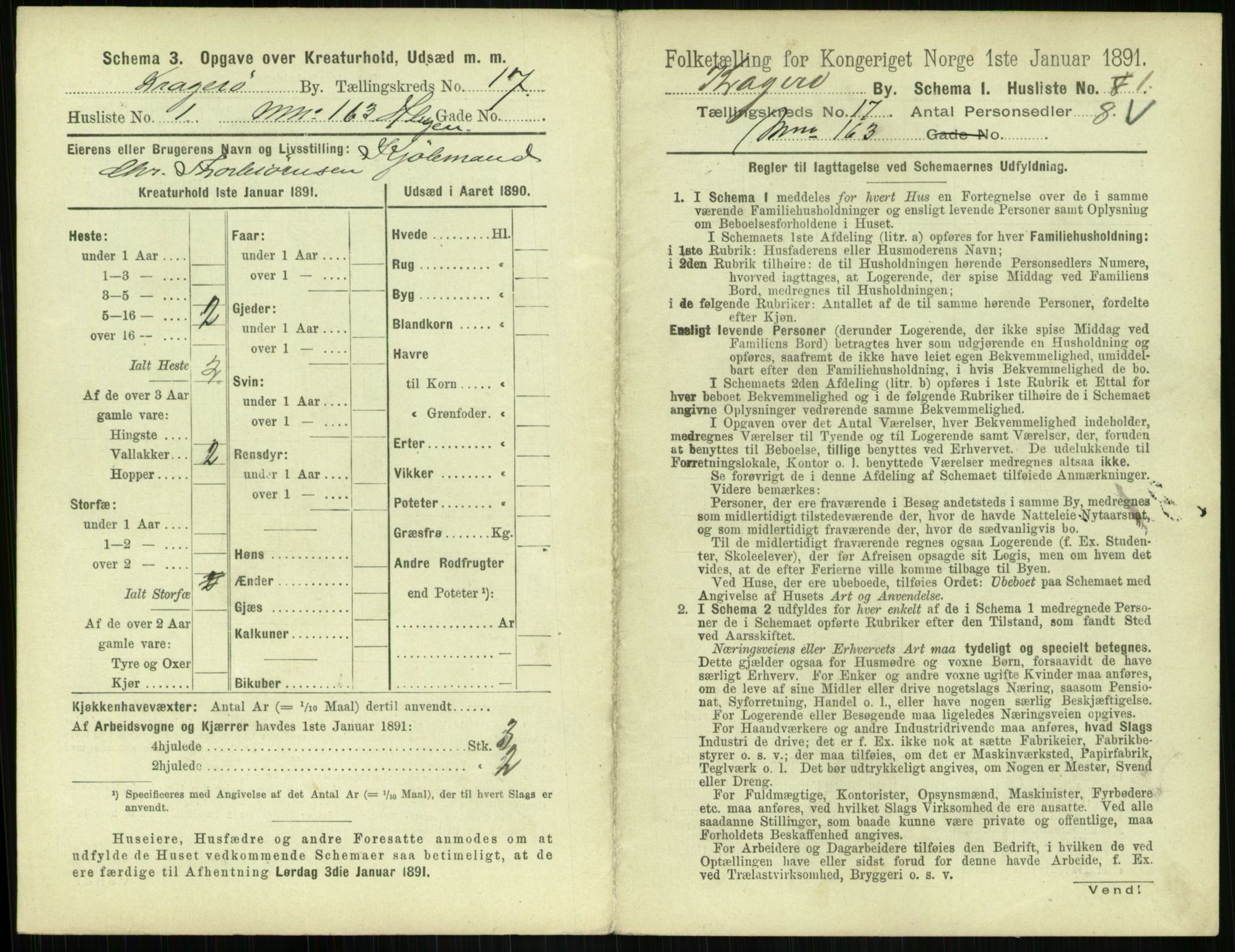 RA, 1891 census for 0801 Kragerø, 1891, p. 738