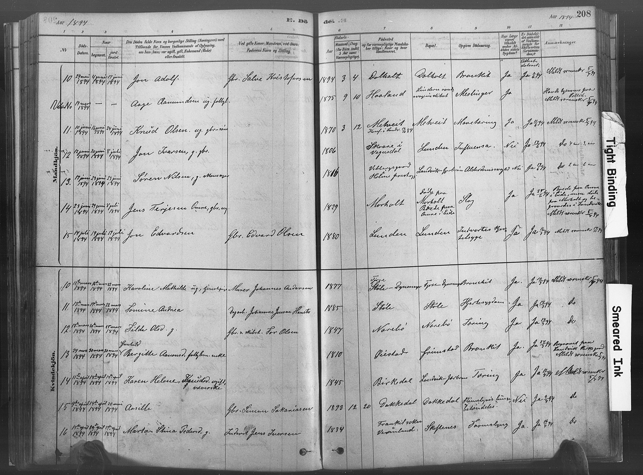 Hommedal sokneprestkontor, SAK/1111-0023/F/Fa/Fab/L0006: Parish register (official) no. A 6, 1878-1897, p. 208