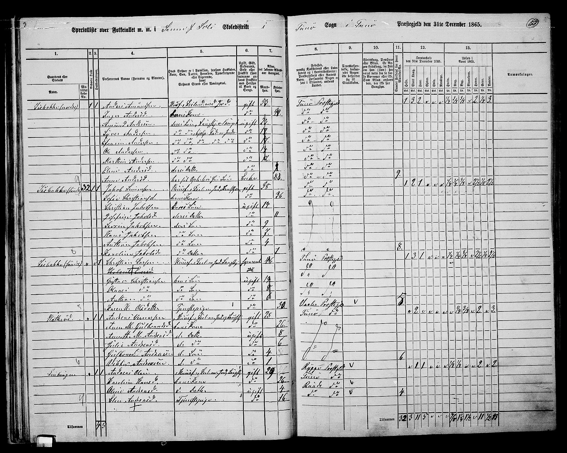 RA, 1865 census for Tune, 1865, p. 49