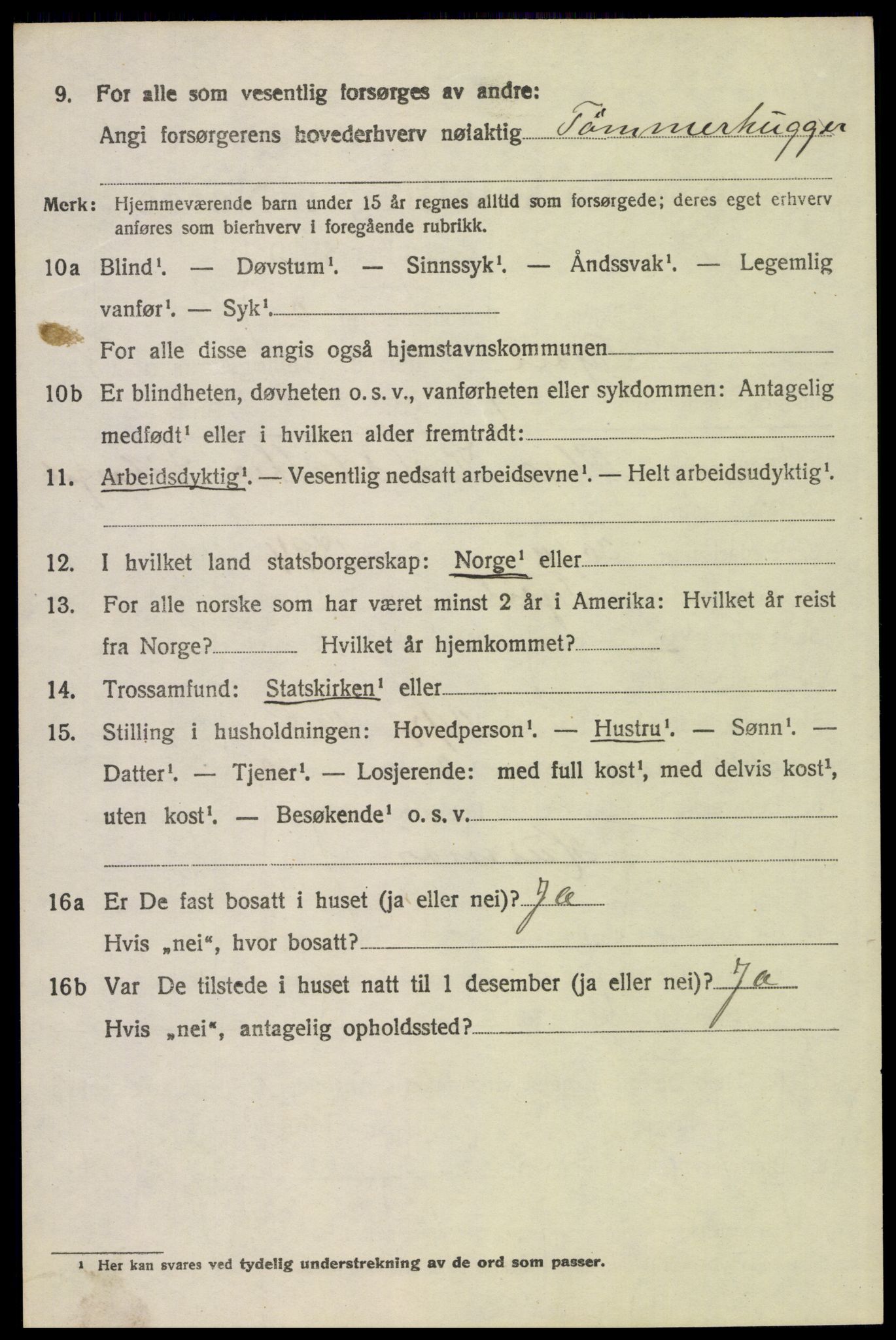 SAH, 1920 census for Trysil, 1920, p. 6224