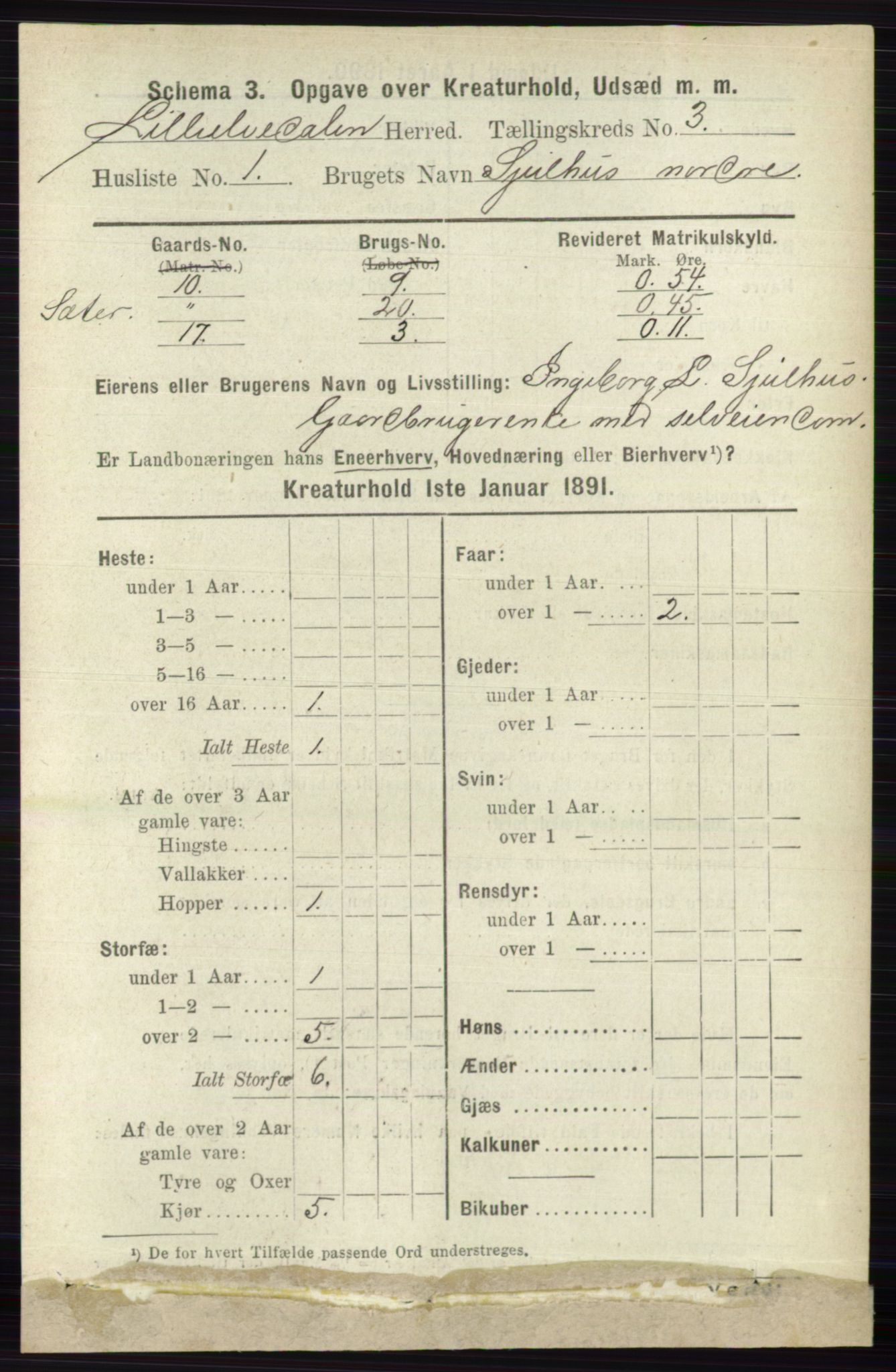 RA, 1891 census for 0438 Lille Elvedalen, 1891, p. 4166