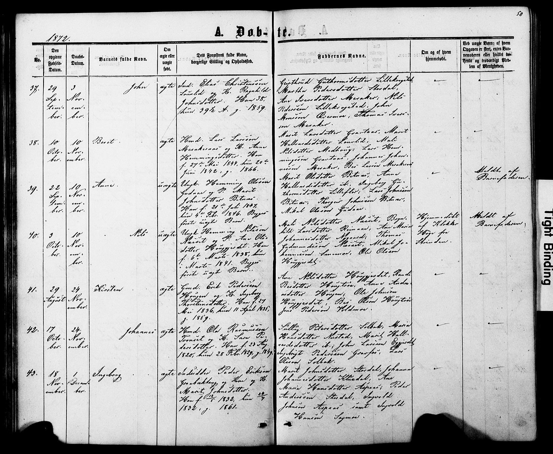 Ministerialprotokoller, klokkerbøker og fødselsregistre - Nord-Trøndelag, AV/SAT-A-1458/706/L0049: Parish register (copy) no. 706C01, 1864-1895, p. 50