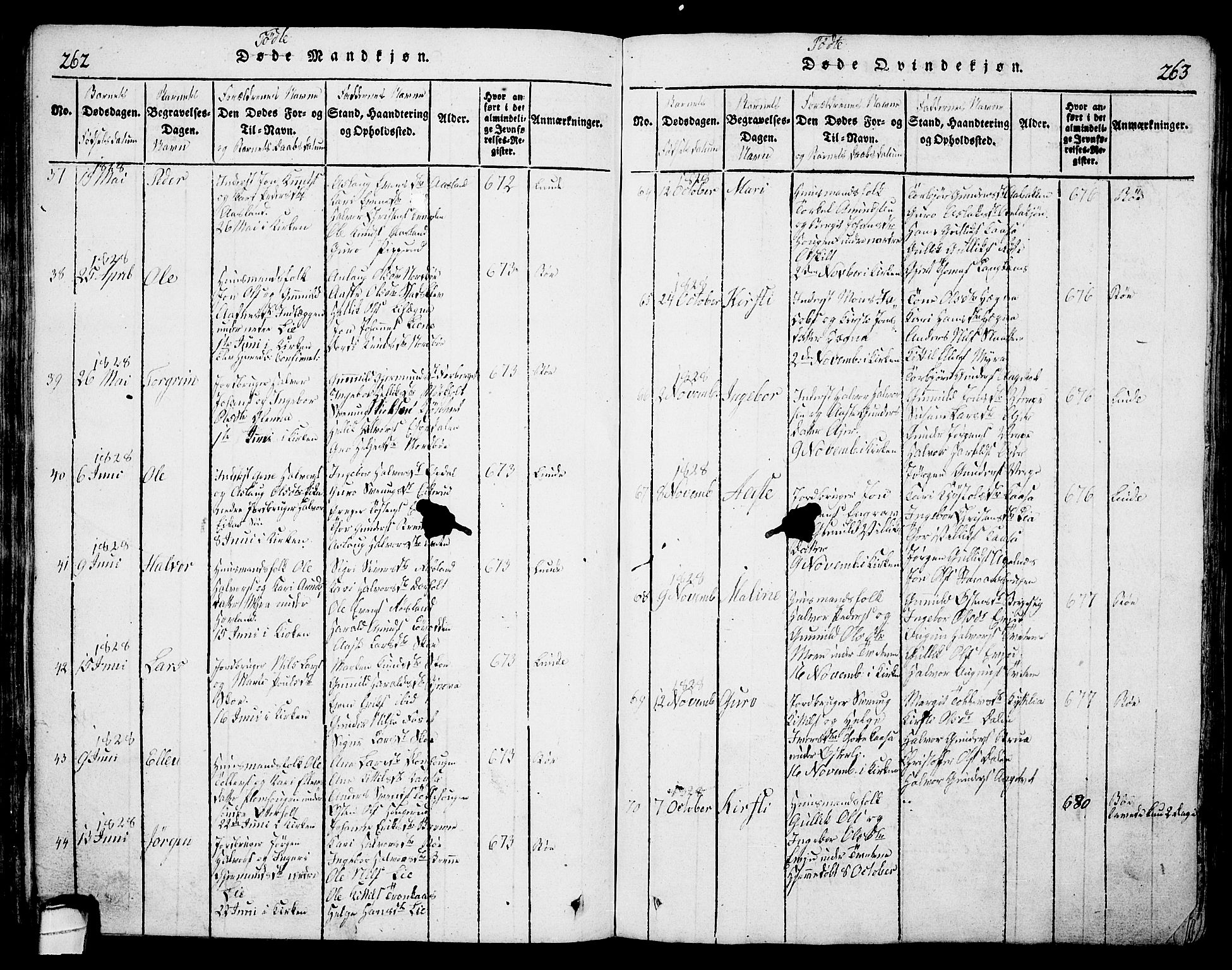 Bø kirkebøker, AV/SAKO-A-257/G/Ga/L0001: Parish register (copy) no. 1, 1815-1831, p. 262-263