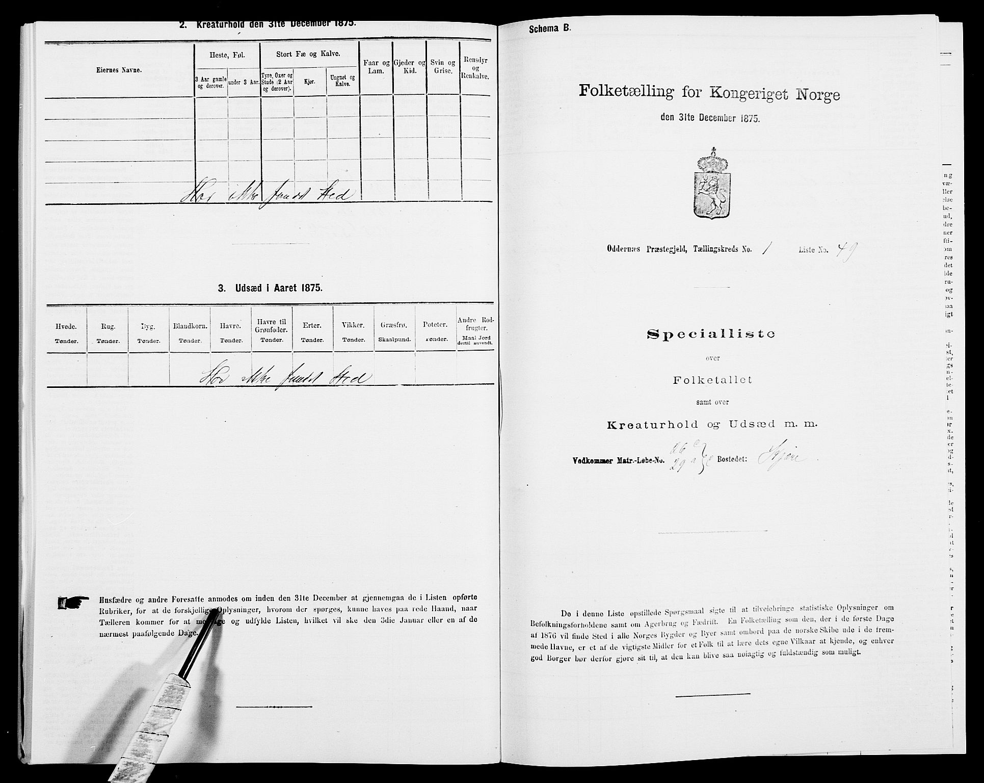 SAK, 1875 census for 1012P Oddernes, 1875, p. 156